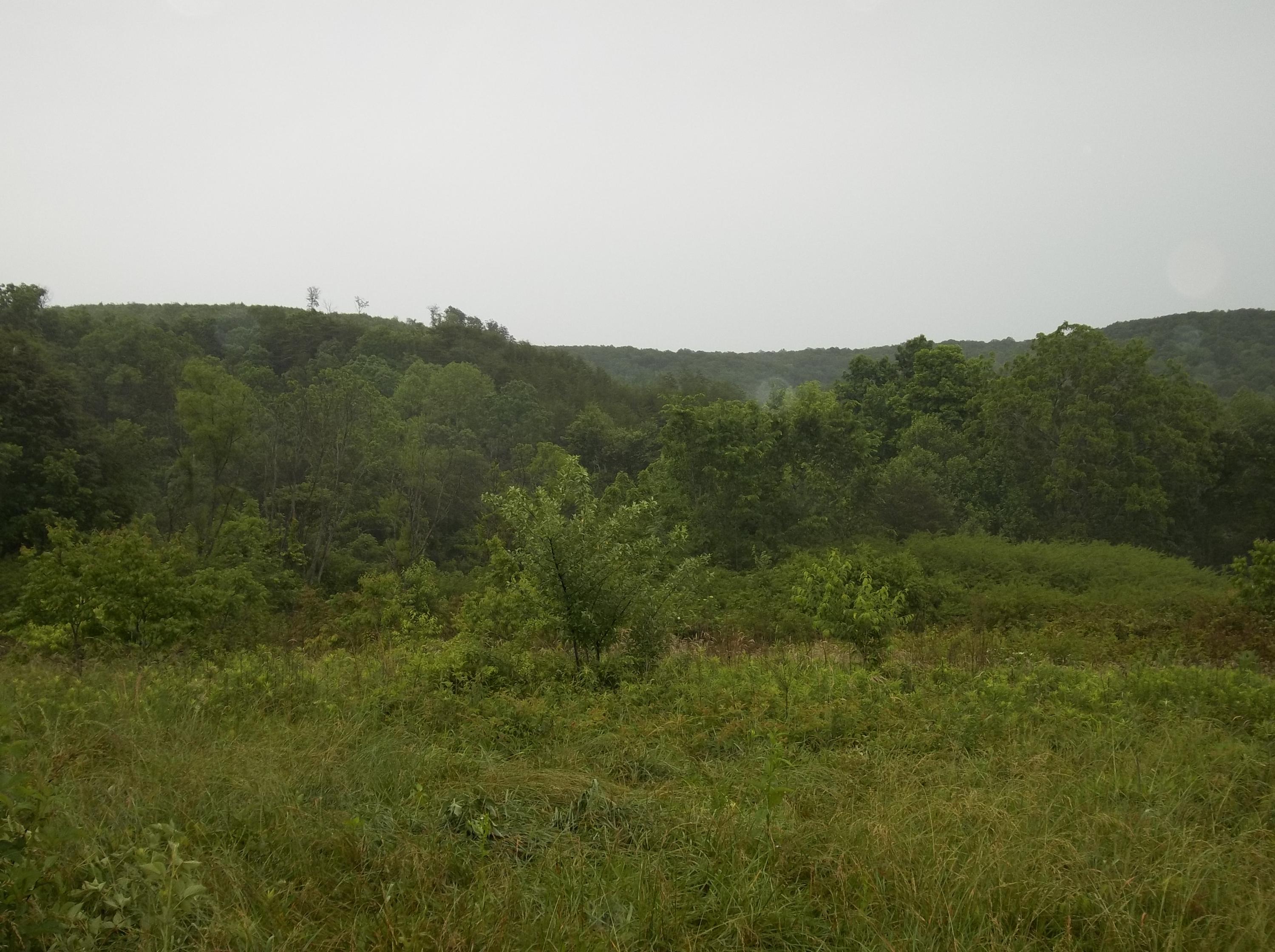0 Barker Road Palmer, TN 37365 - Photo 23 of 49 100_4385