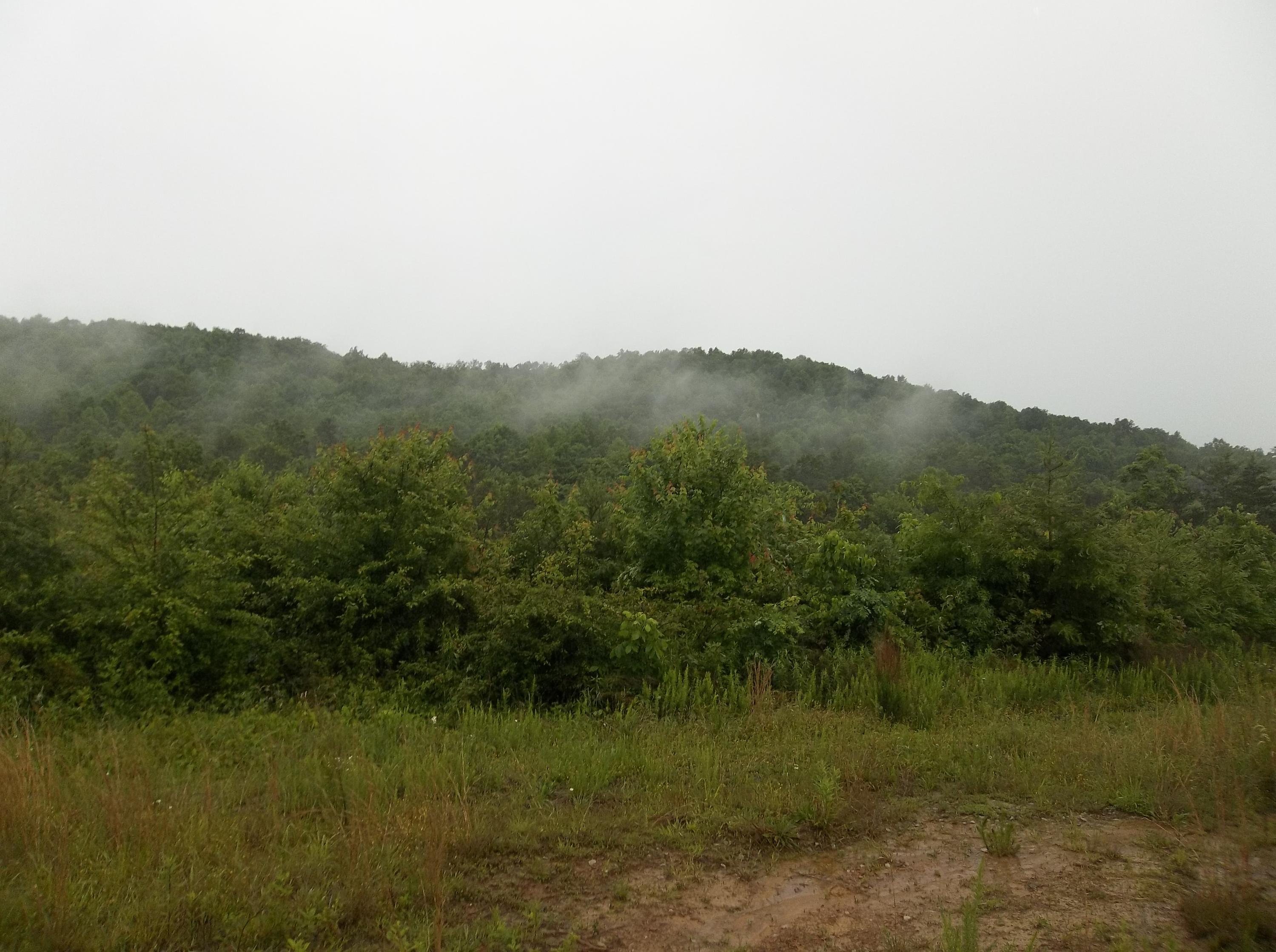 0 Barker Road Palmer, TN 37365 - Photo 24 of 49 100_4381