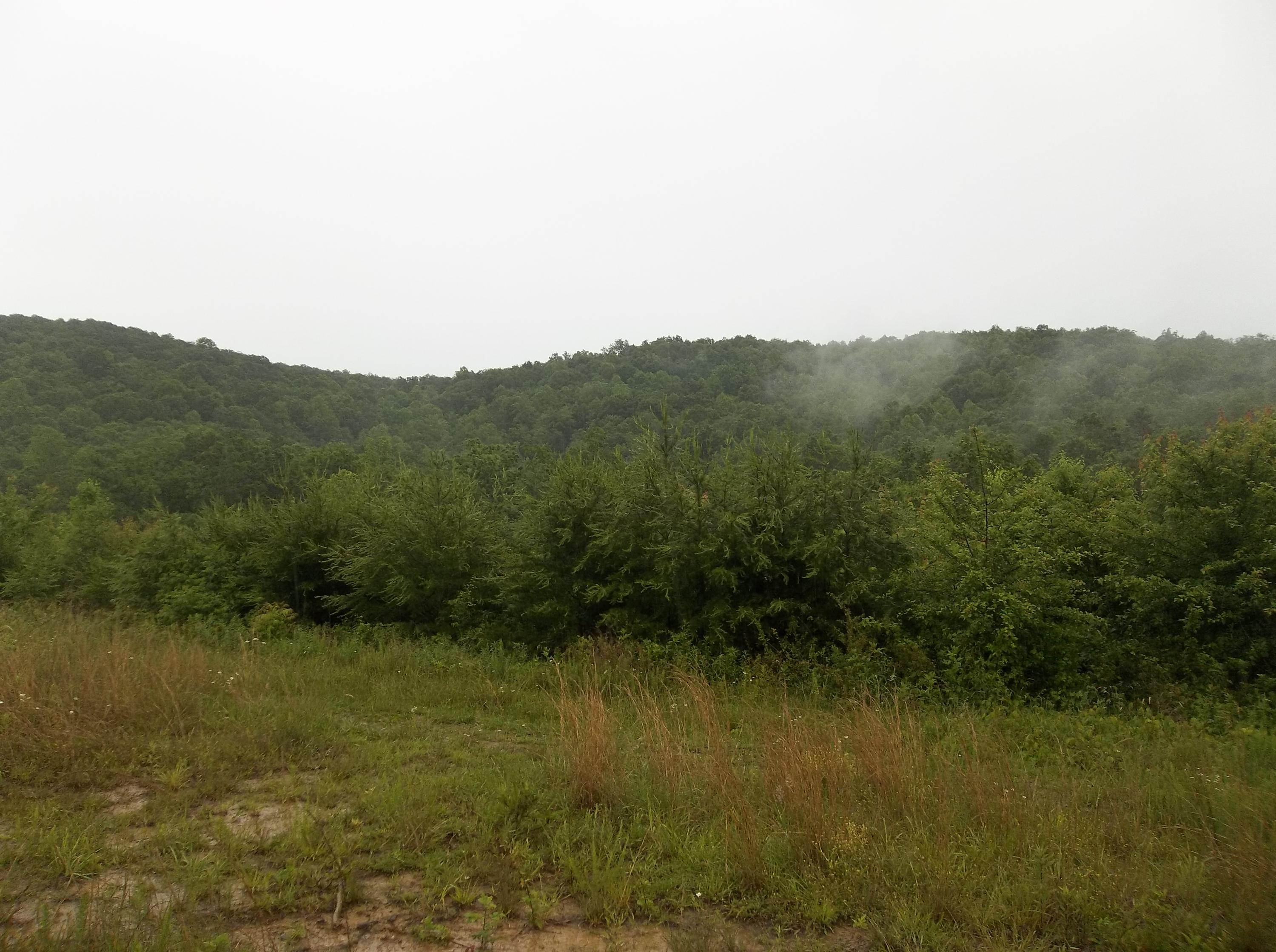 0 Barker Road Palmer, TN 37365 - Photo 25 of 49 100_4382