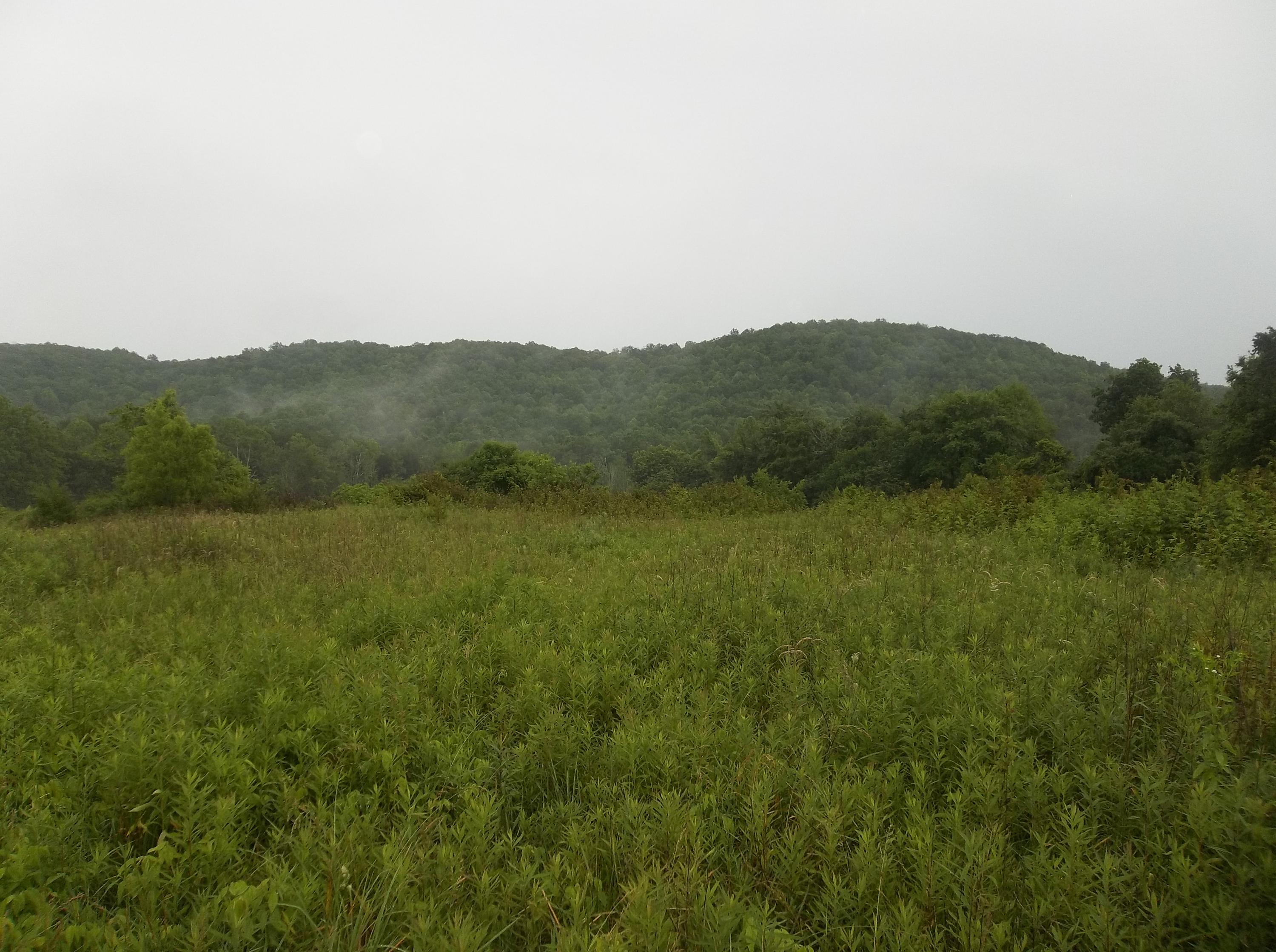 0 Barker Road Palmer, TN 37365 - Photo 26 of 49 100_4383