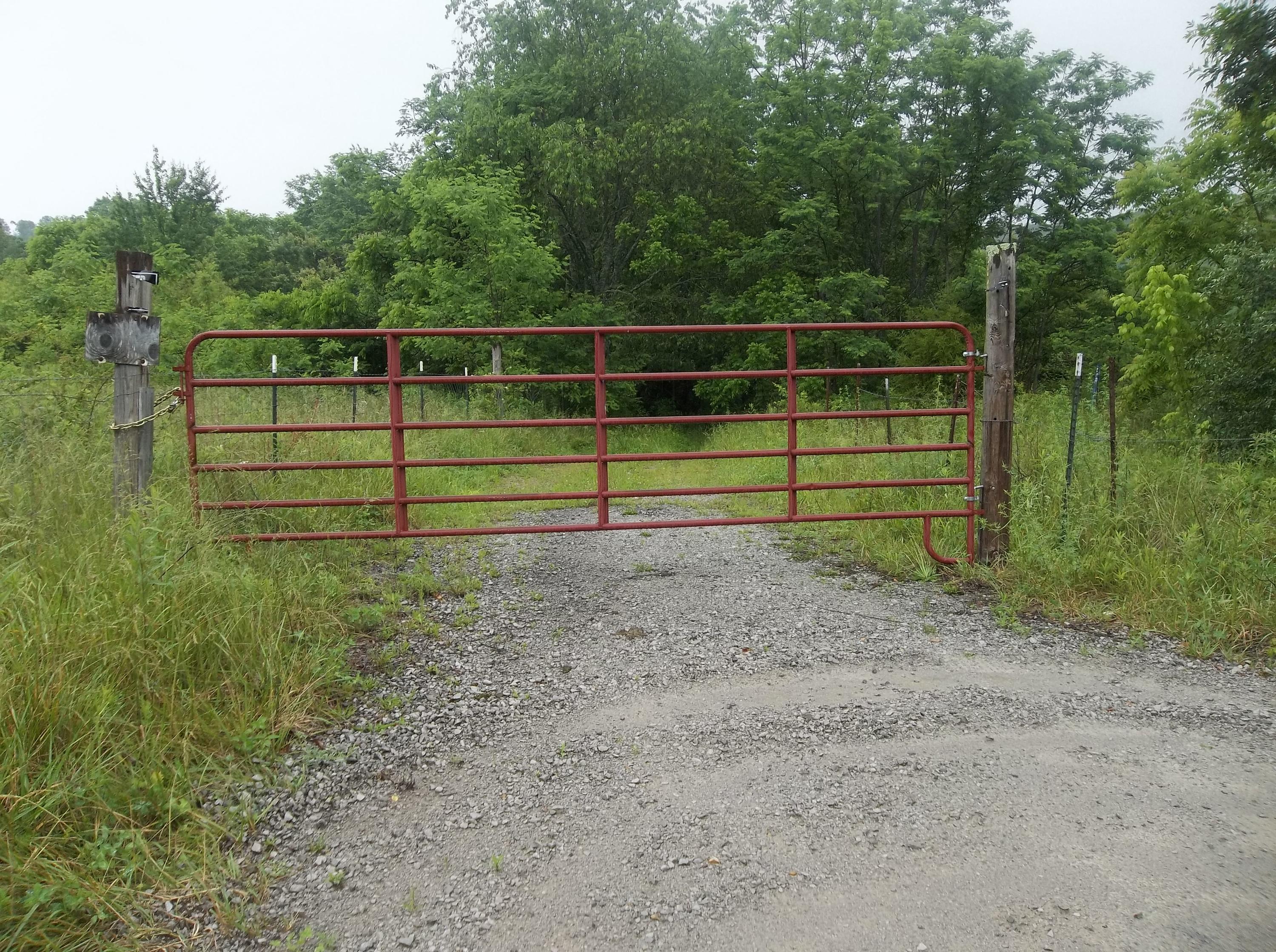 0 Barker Road Palmer, TN 37365 - Photo 30 of 49 100_4388