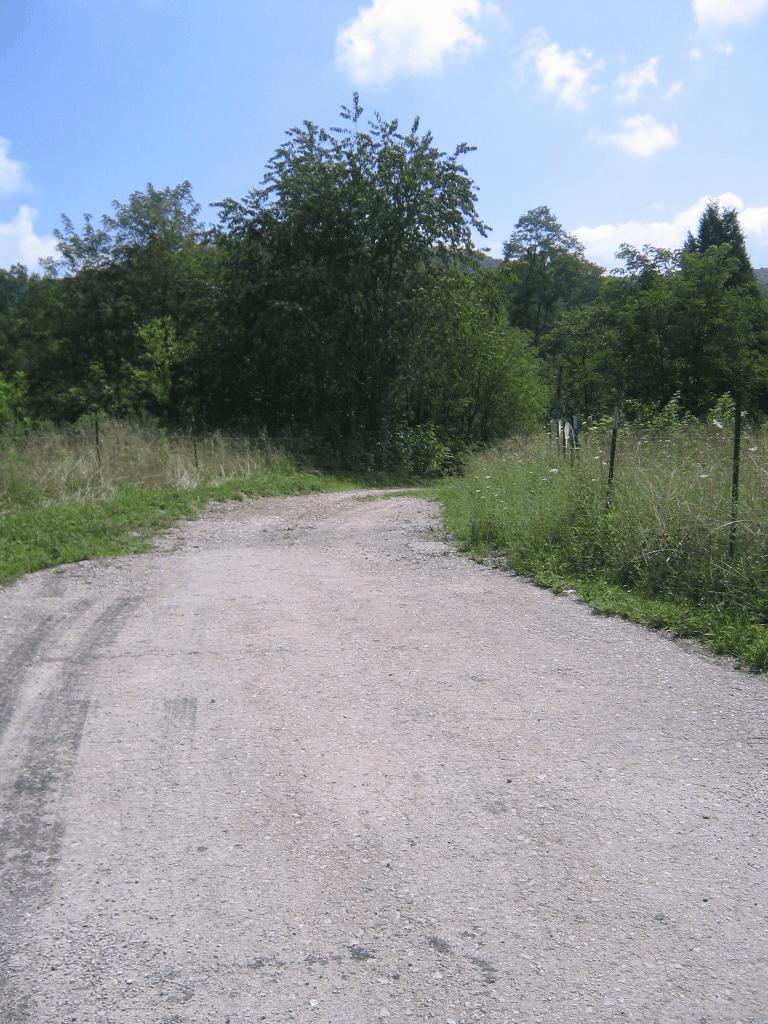 0 Barker Road Palmer, TN 37365 - Photo 31 of 49 1Road