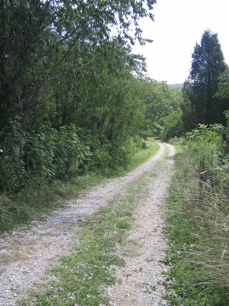 0 Barker Road Palmer, TN 37365 - Photo 32 of 49 2roadTrail