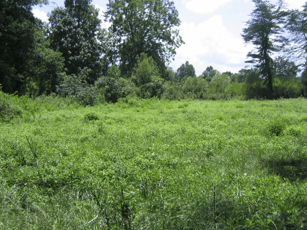 0 Barker Road Palmer, TN 37365 - Photo 43 of 49 3trailside
