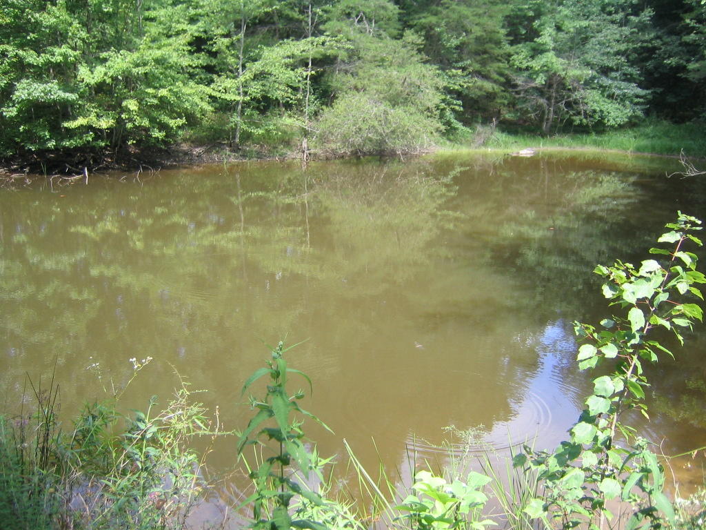 0 Barker Road Palmer, TN 37365 - Photo 47 of 49 Pond