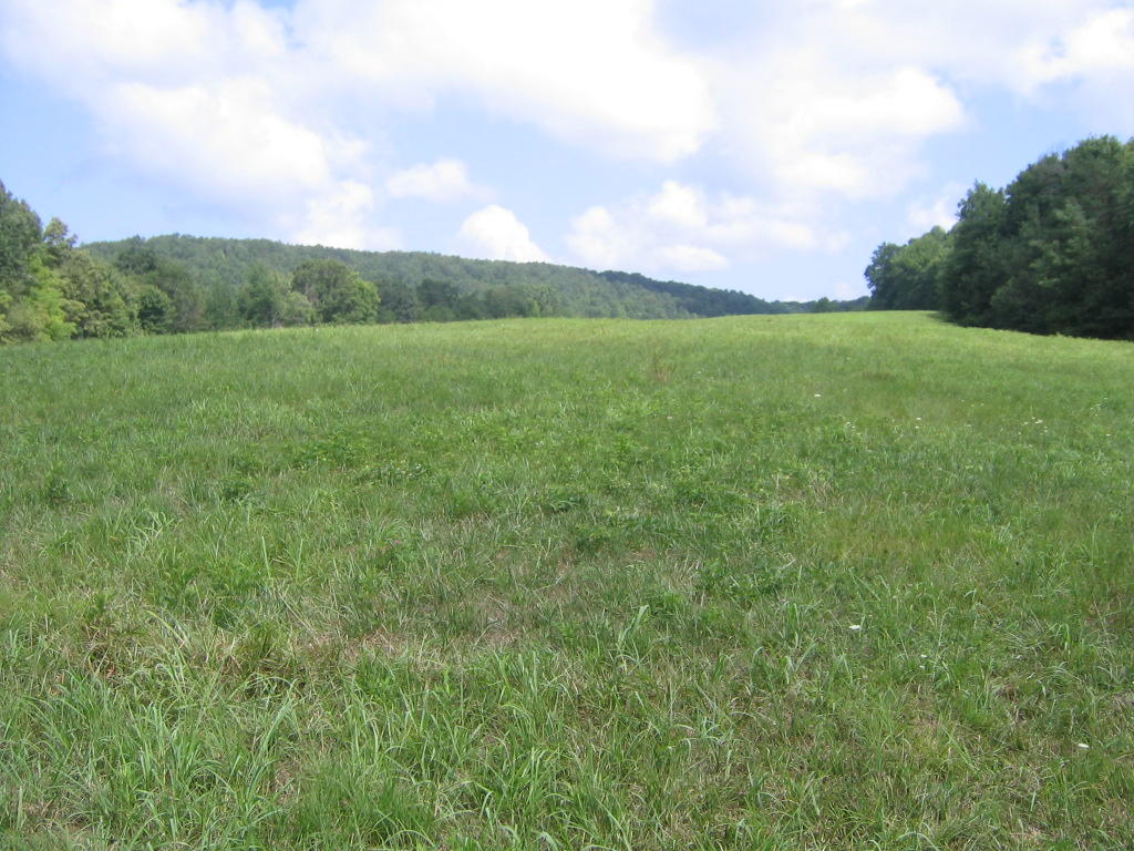 0 Barker Road Palmer, TN 37365 - Photo 48 of 49 Pasture on 60 Acres