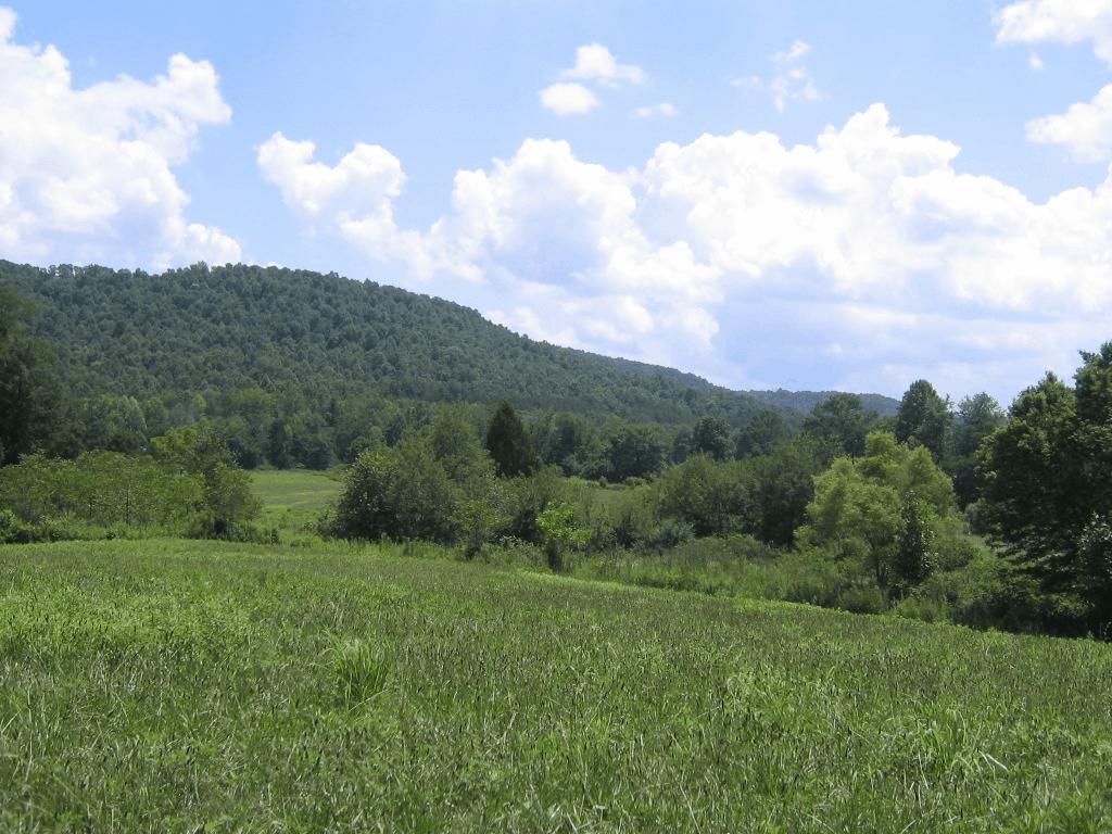 0 Barker Road Palmer, TN 37365 - Photo 5 of 49 4FrontPasture