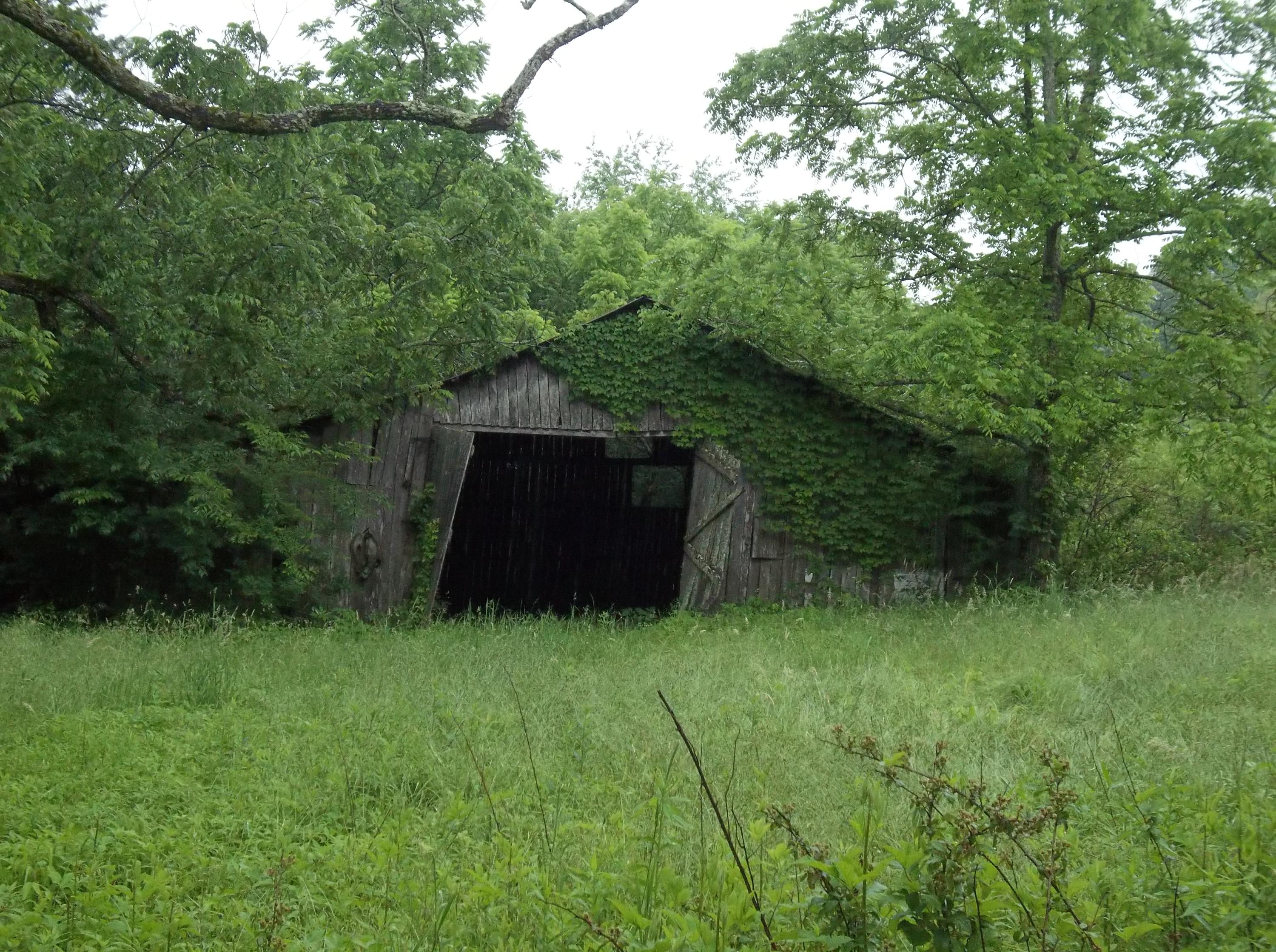 0 Barker Road Palmer, TN 37365 - Photo 8 of 49 100_4365