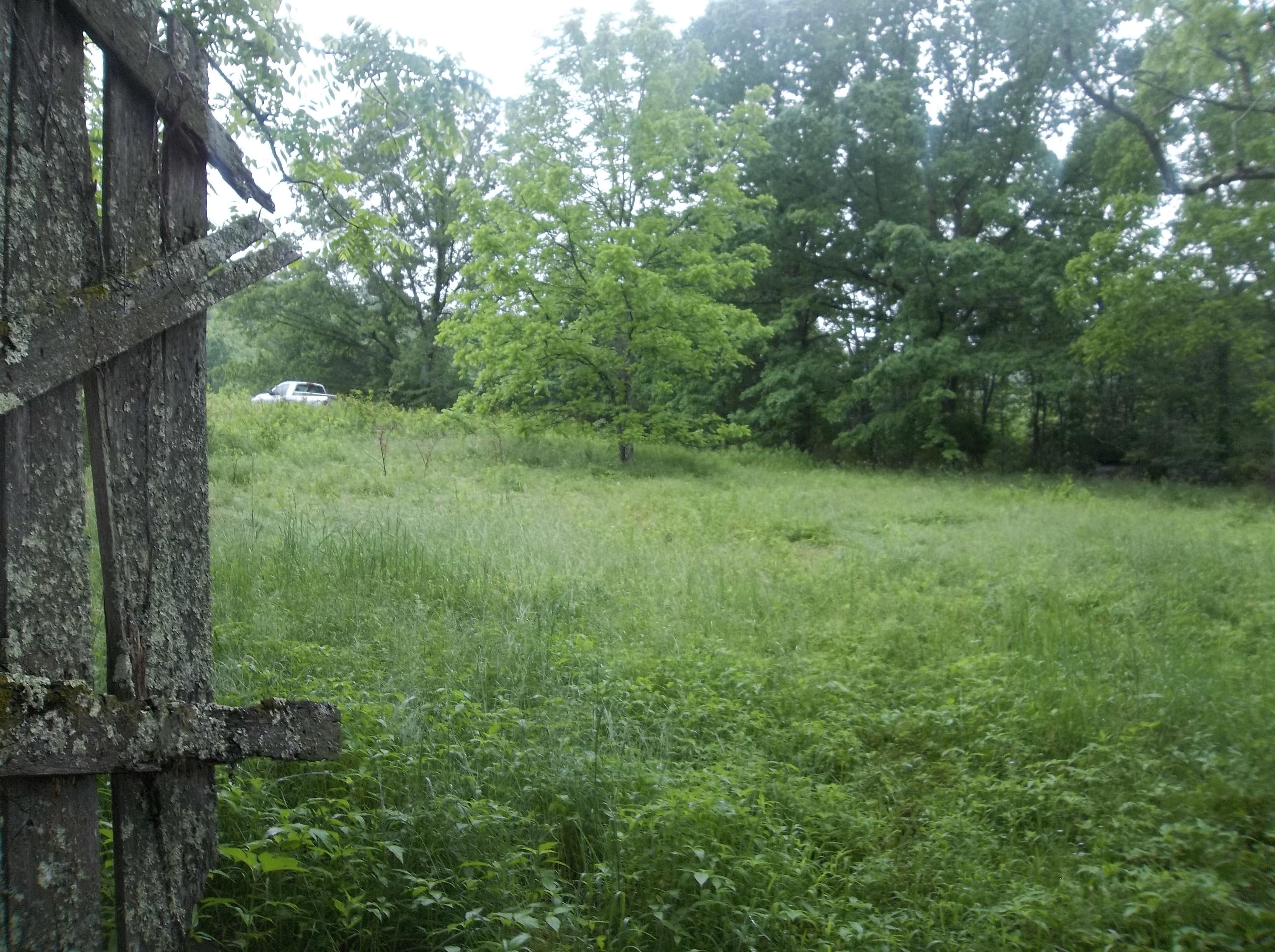 0 Barker Road Palmer, TN 37365 - Photo 10 of 49 100_4367