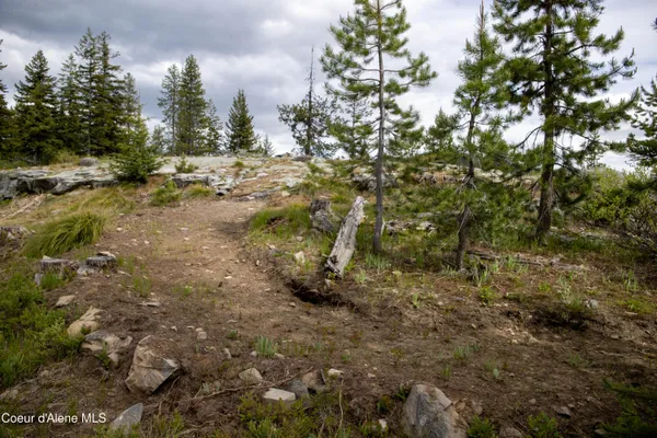 $375,000 | 1 Packers Meadow Road, Kooskia, ID 83539