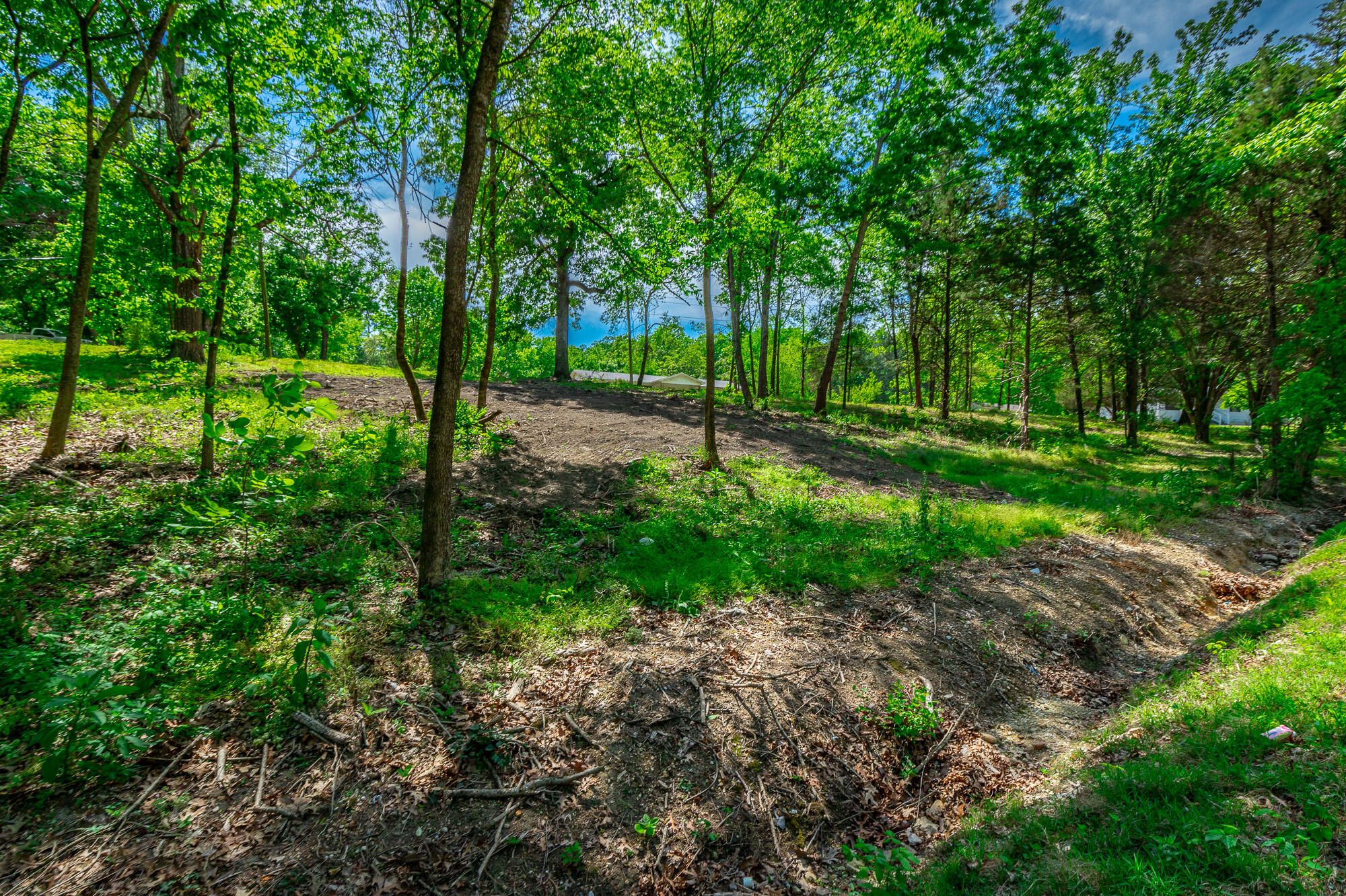 8840 Igou Gap Road Chattanooga, TN 37421 - Photo 4 of 28 8840 Igou Gap Road HD-11