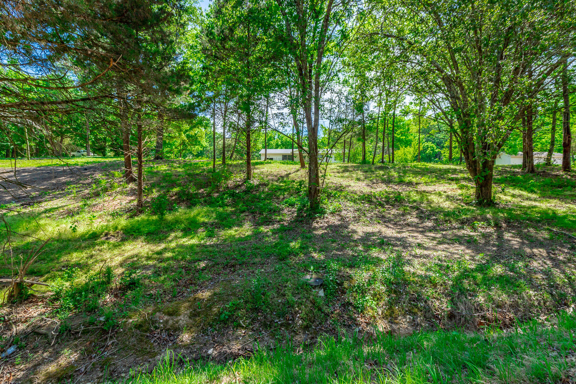 8840 Igou Gap Road Chattanooga, TN 37421 - Photo 5 of 28 8840 Igou Gap Road HD-10