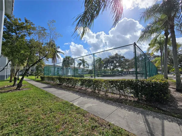a view of a yard