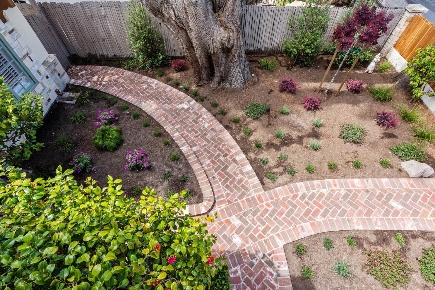 26335 Rio Avenue Carmel, CA 93923 - Photo 40 of 56 a view of a backyard with plants