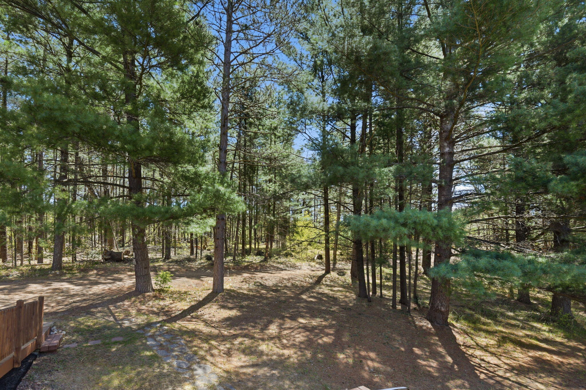 7492 East Townline Lake Road Harrison, MI 48625 - Photo 26 of 31 27-web-or-mls-DSC_0411 Ed Lane