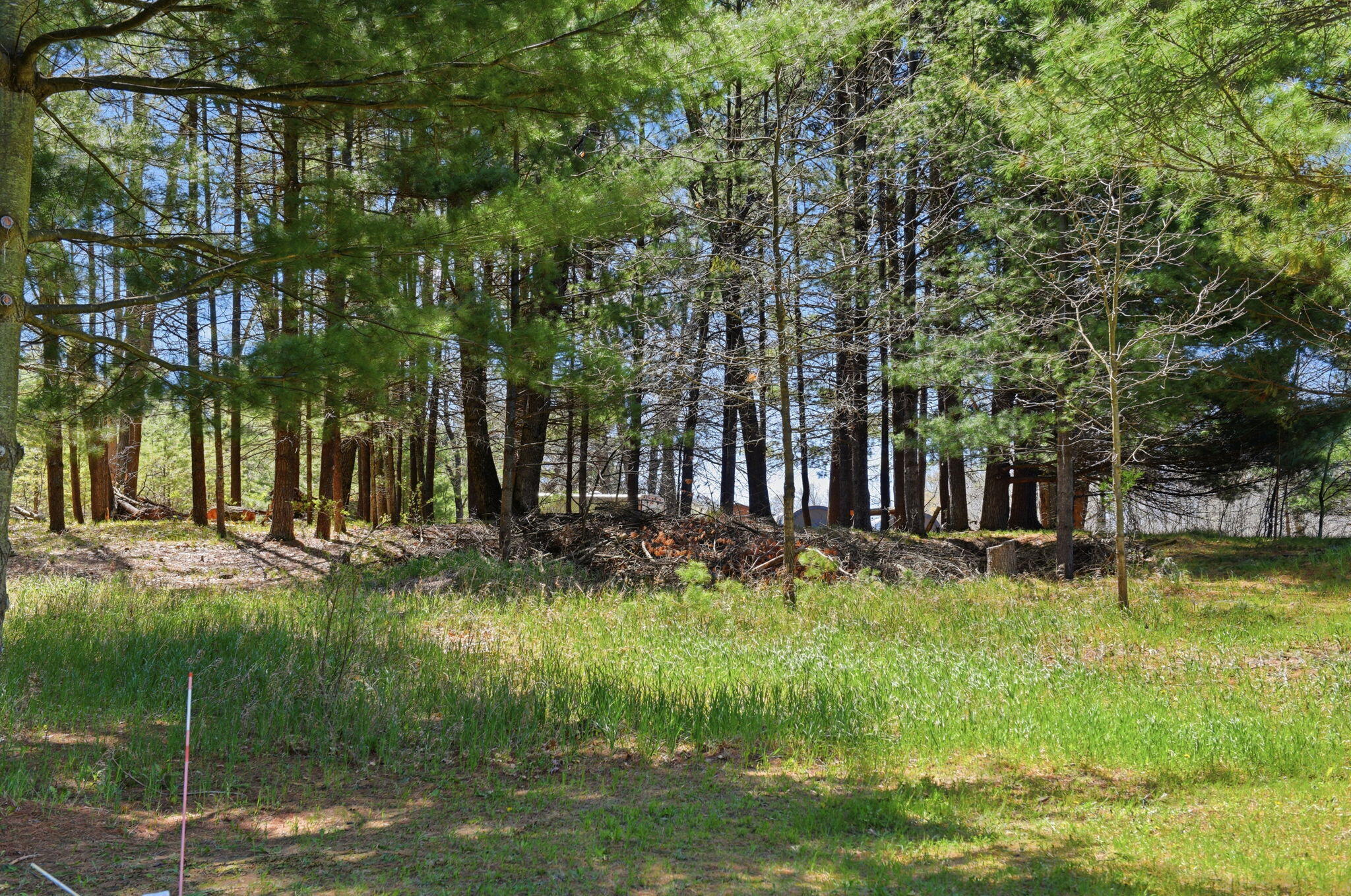 7492 East Townline Lake Road Harrison, MI 48625 - Photo 29 of 31 34-web-or-mls-DSC_0330 Ed Lane