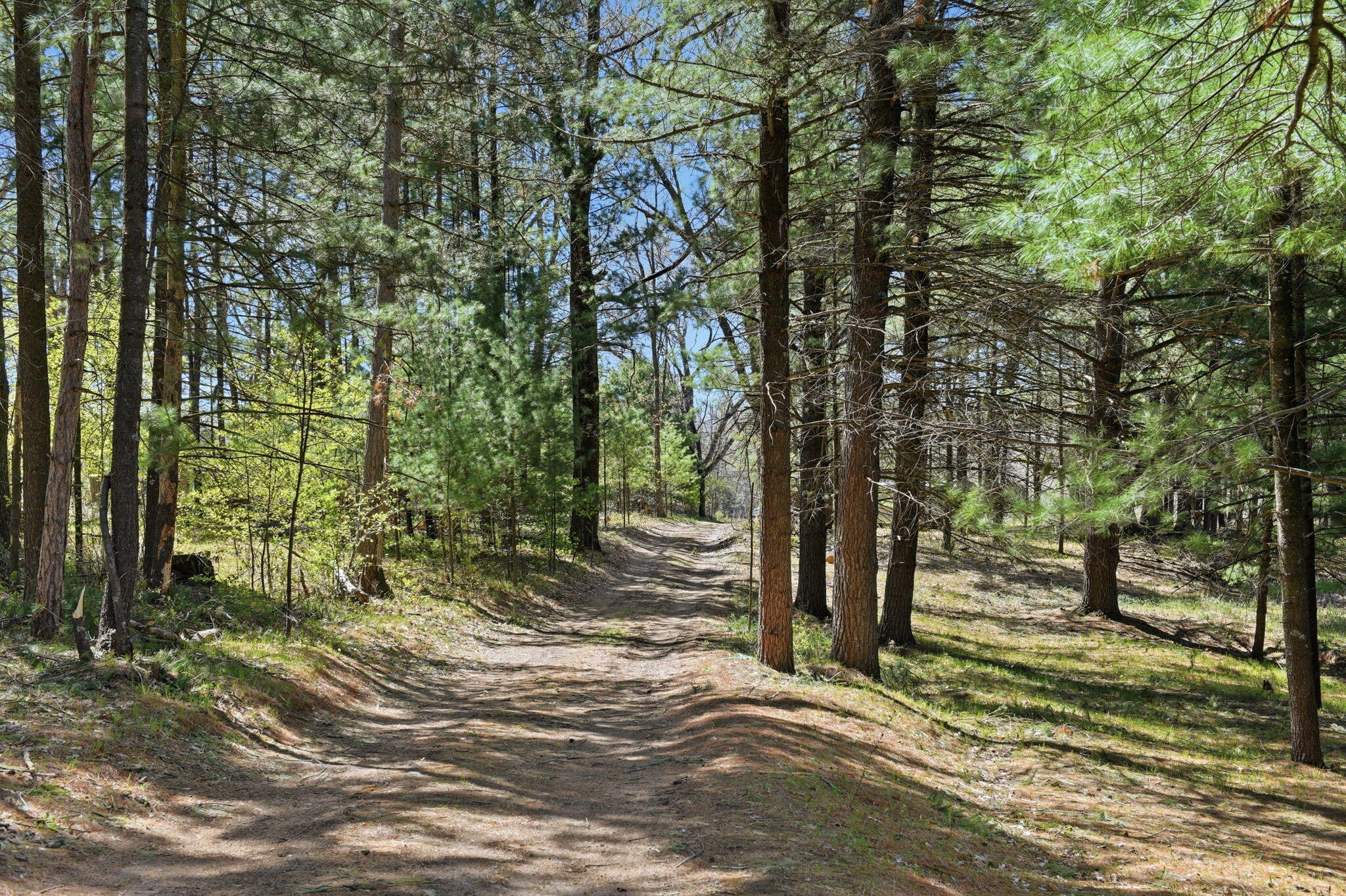7492 East Townline Lake Road Harrison, MI 48625 - Photo 30 of 31 36-web-or-mls-DSC_0339 Ed Lane