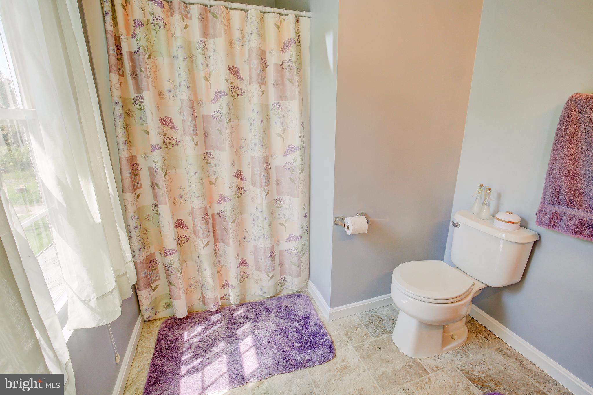 9080 Riverhill Road Laurel, MD 20723 - Photo 18 of 30 Bath (Master)
