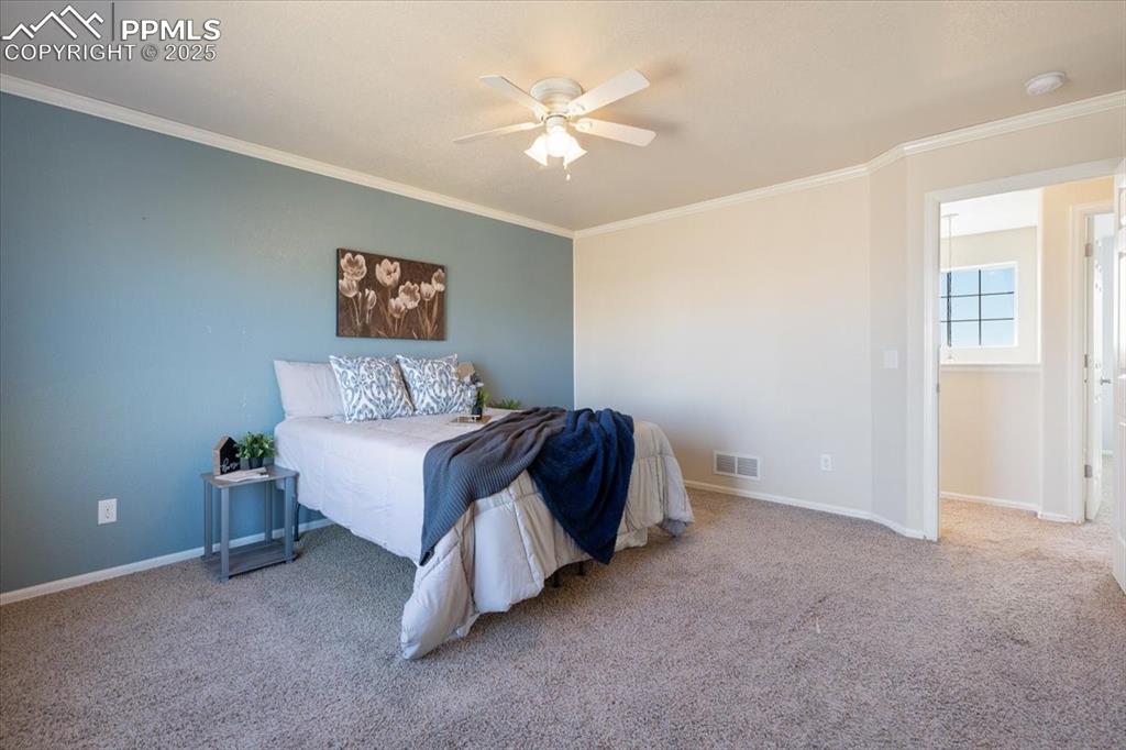 13038 Devil's Thumb Place Peyton, CO 80831 - Photo 15 of 44 Primary Bedroom with lighted ceiling fan and neutral carpet.