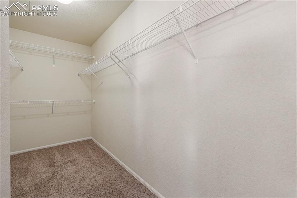 13038 Devil's Thumb Place Peyton, CO 80831 - Photo 19 of 44 Walk In Closet in the Primary Bedroom