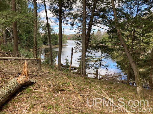 Tbd Channel Road Watersmeet, MI 49969 - Photo 6 of 33 Gallery Image 6