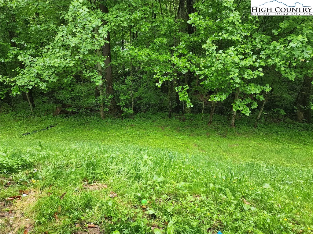345 Sam Eller Road Elk Park, NC 28622 - Photo 15 of 25 Gallery Image 15