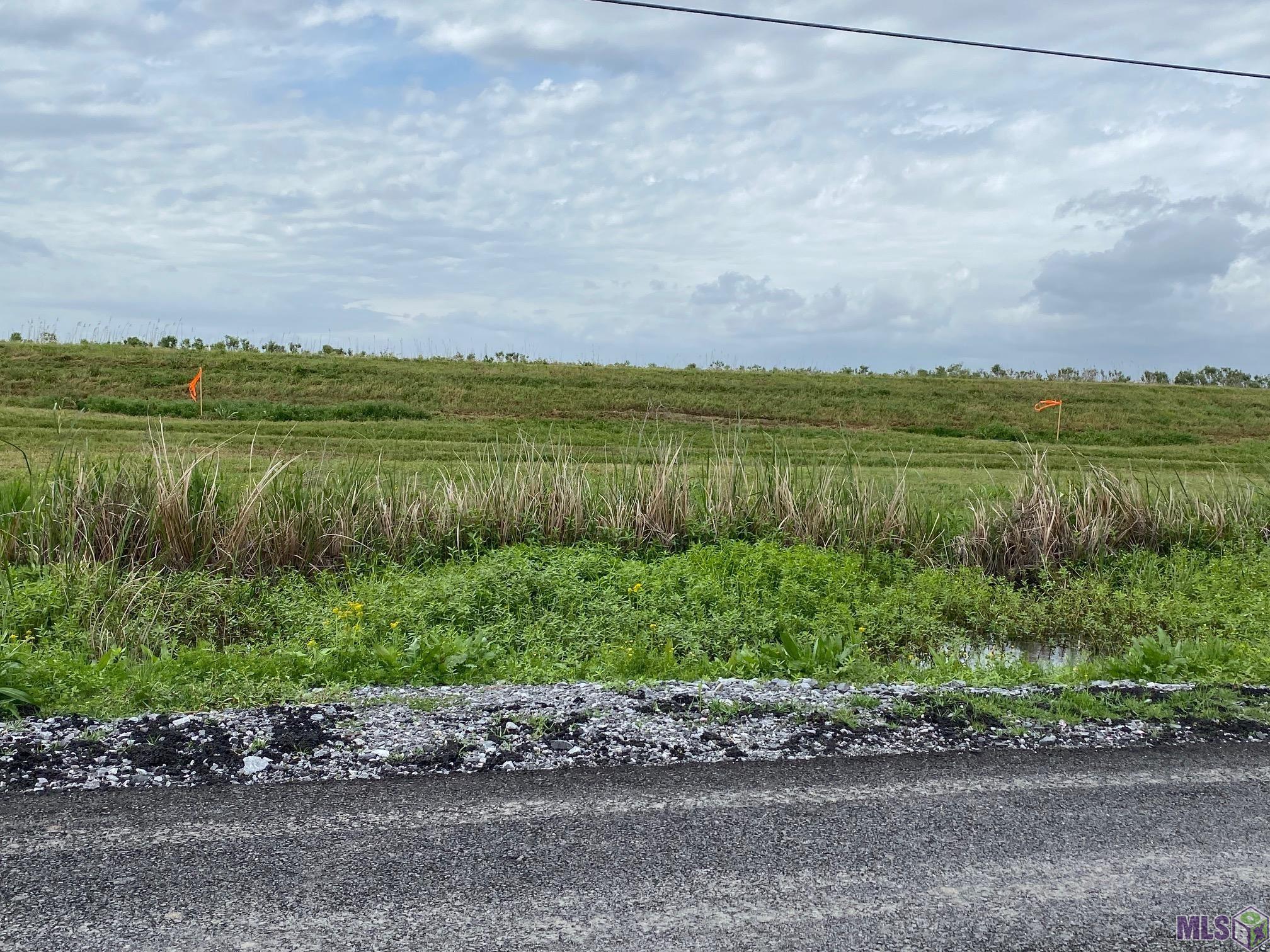 2555 Brady Road Theriot, LA 70397 - Photo 2 of 7 Marsh Side