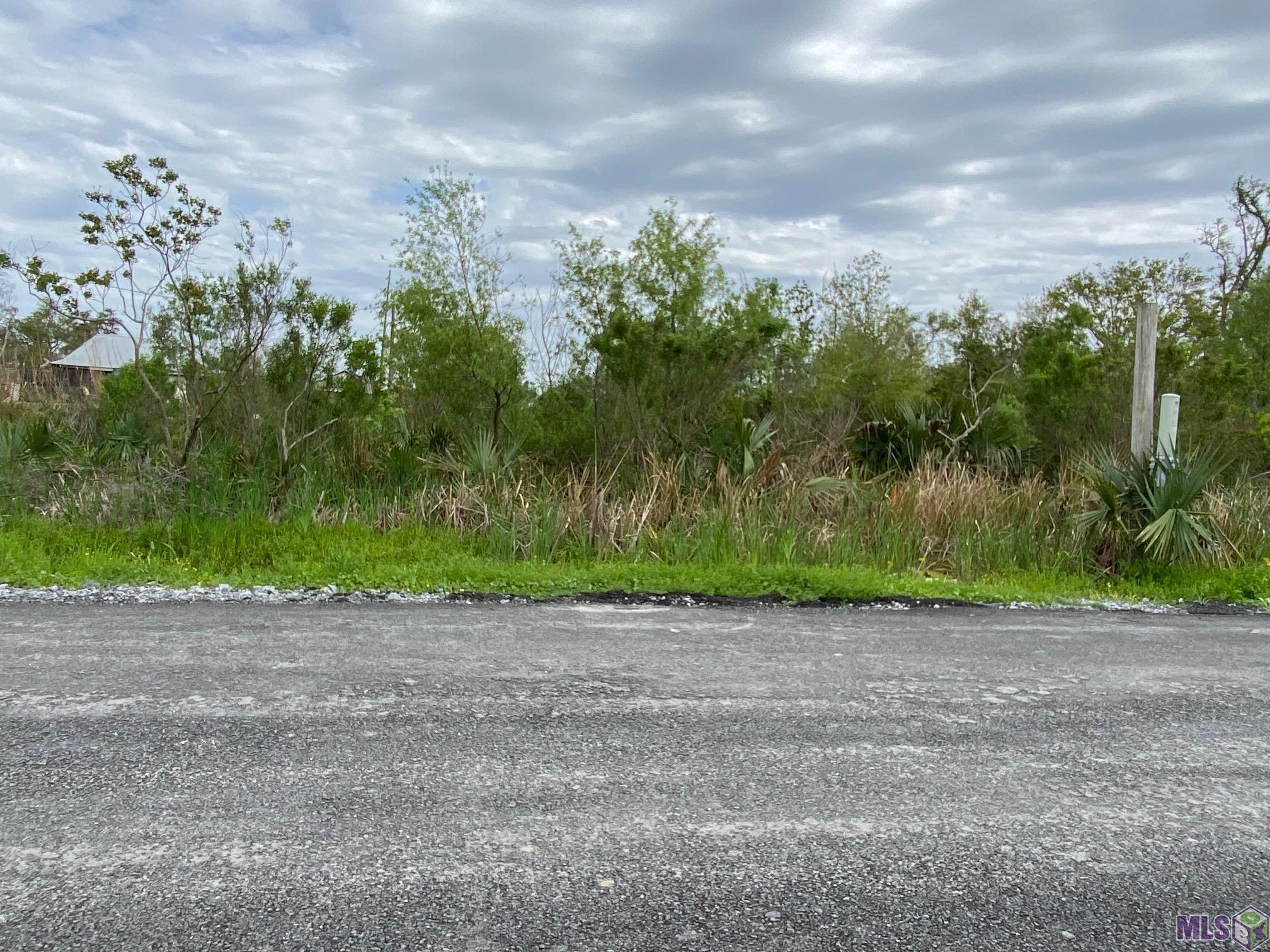2555 Brady Road Theriot, LA 70397 - Photo 3 of 7 Camp Side