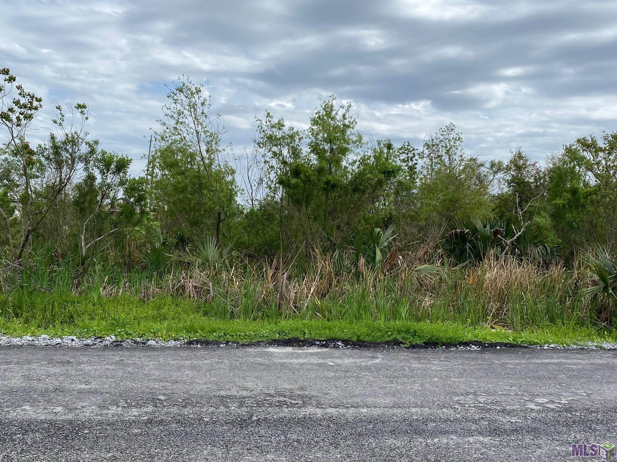 2555 Brady Road Theriot, LA 70397 - Photo 5 of 7