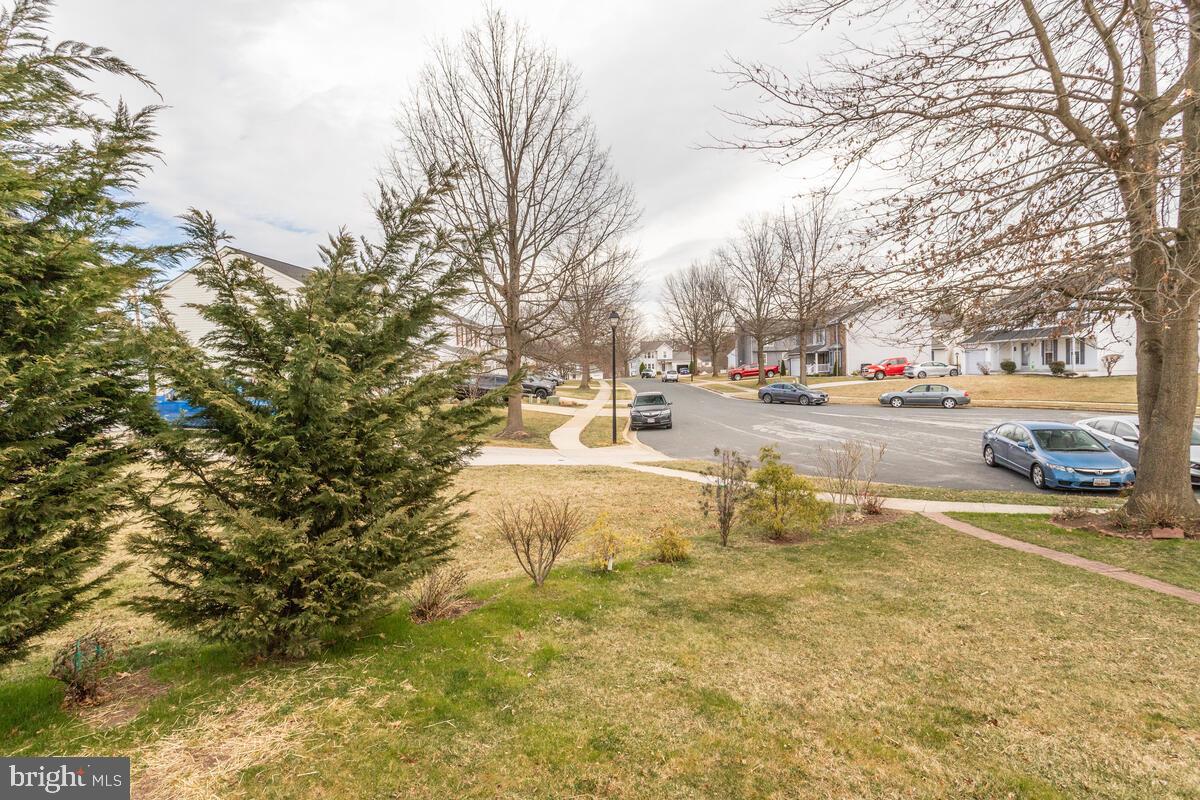 407 North Hammonds Ferry Road Linthicum, MD 21090 - Photo 59 of 60 backyard open to cut-de-sac, more parking!