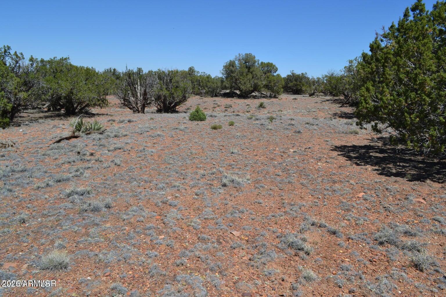 N8604 N8604, Unit 1 Concho, AZ 85924 - Photo 5 of 8 5