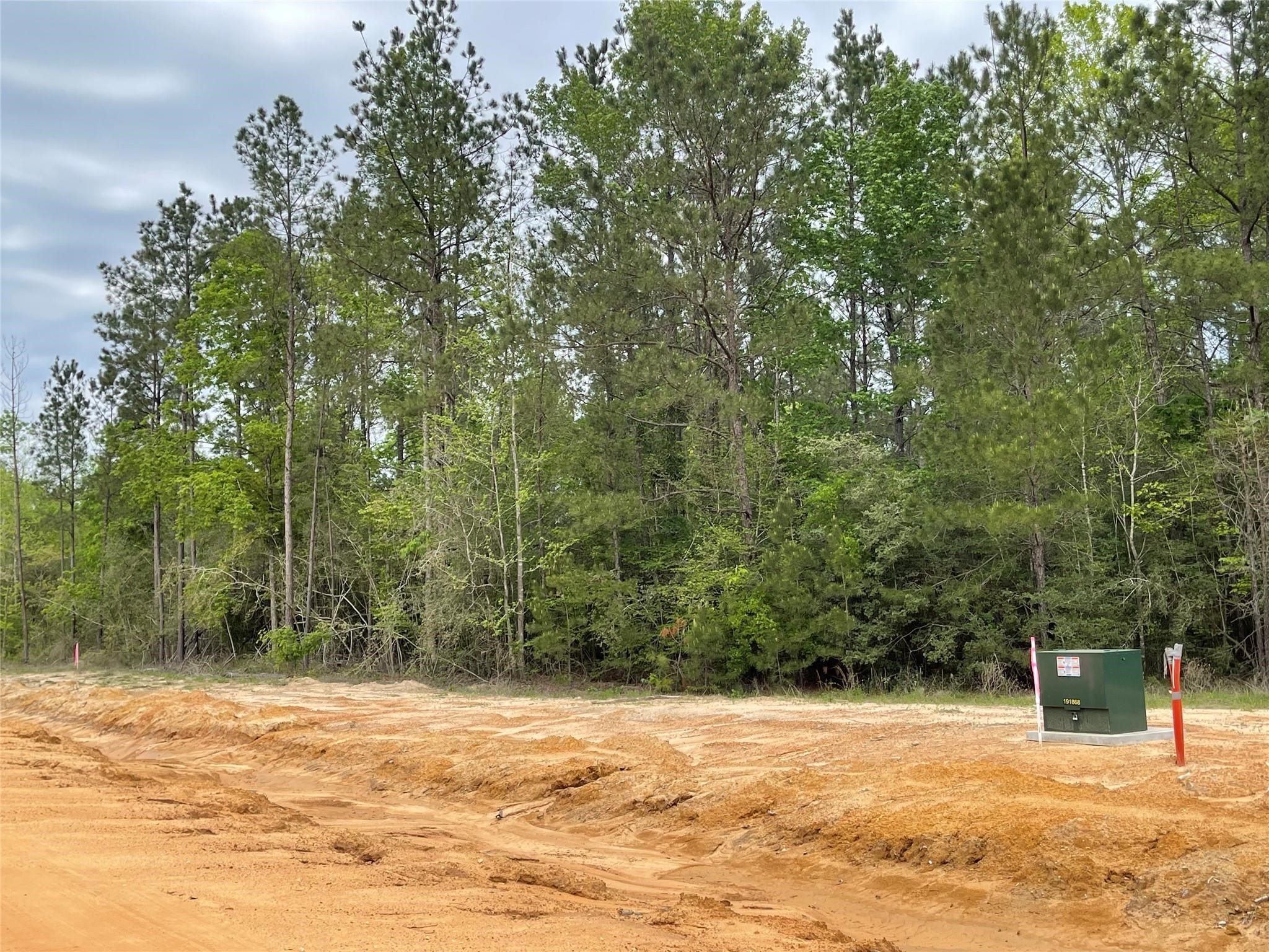 11631 Grand N Road Willis, TX 77378 - Photo 5 of 14 a view of a ocean view