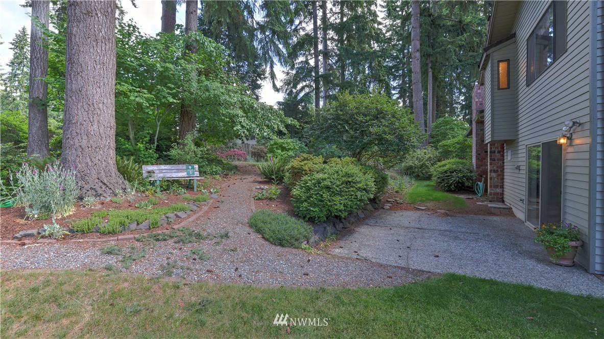 14101 148th Place Southeast Renton, WA 98059 - Photo 32 of 36 a view of a backyard with plants and large trees
