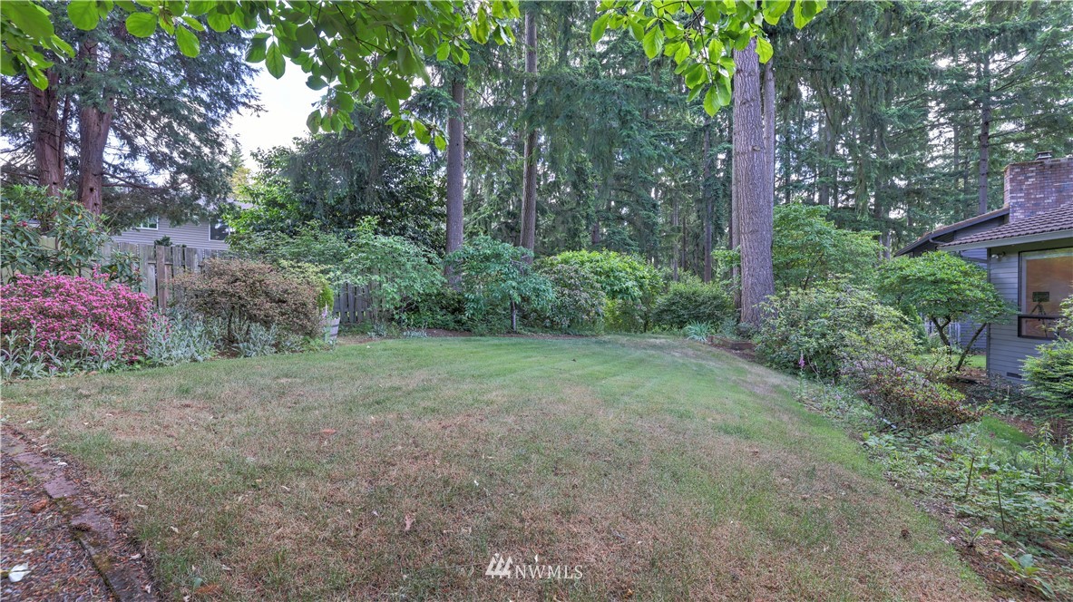 14101 148th Place Southeast Renton, WA 98059 - Photo 34 of 36 a view of a yard with a tree