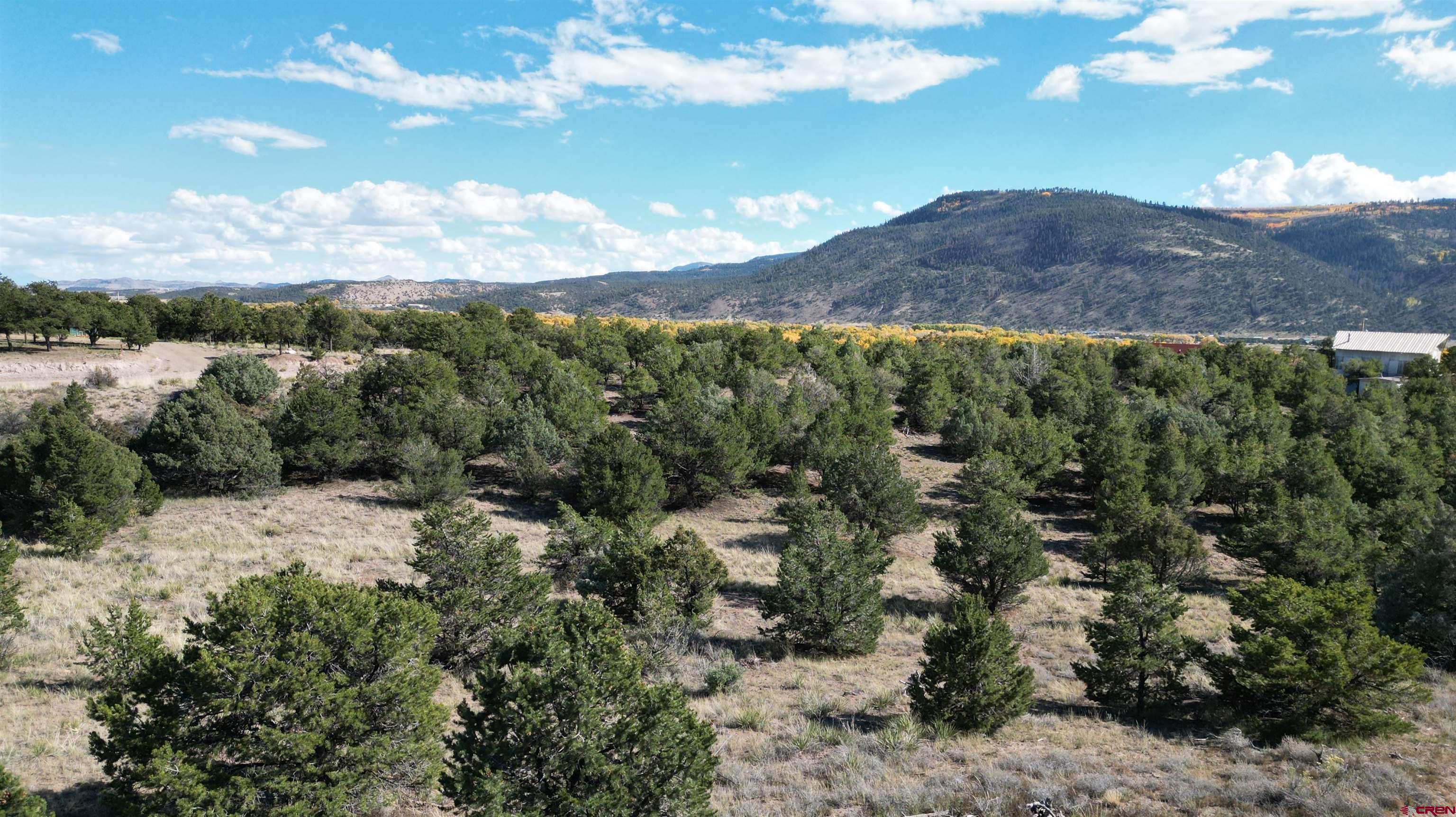 549 Milner Pass Road South Fork, CO 81154 - Photo 12 of 19 a view of a houses with a yard