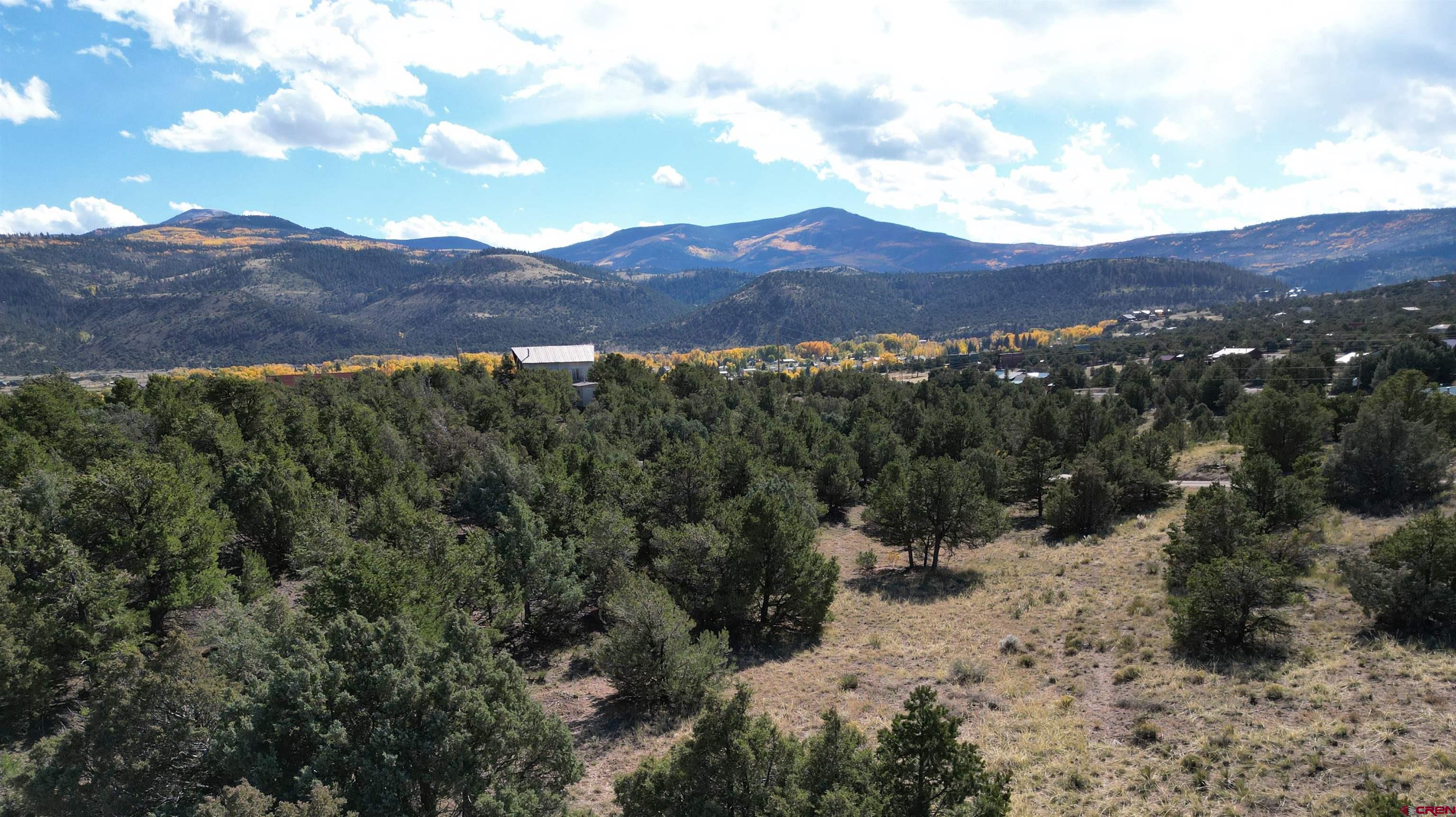 549 Milner Pass Road South Fork, CO 81154 - Photo 14 of 19 a view of a lot of trees and mountains