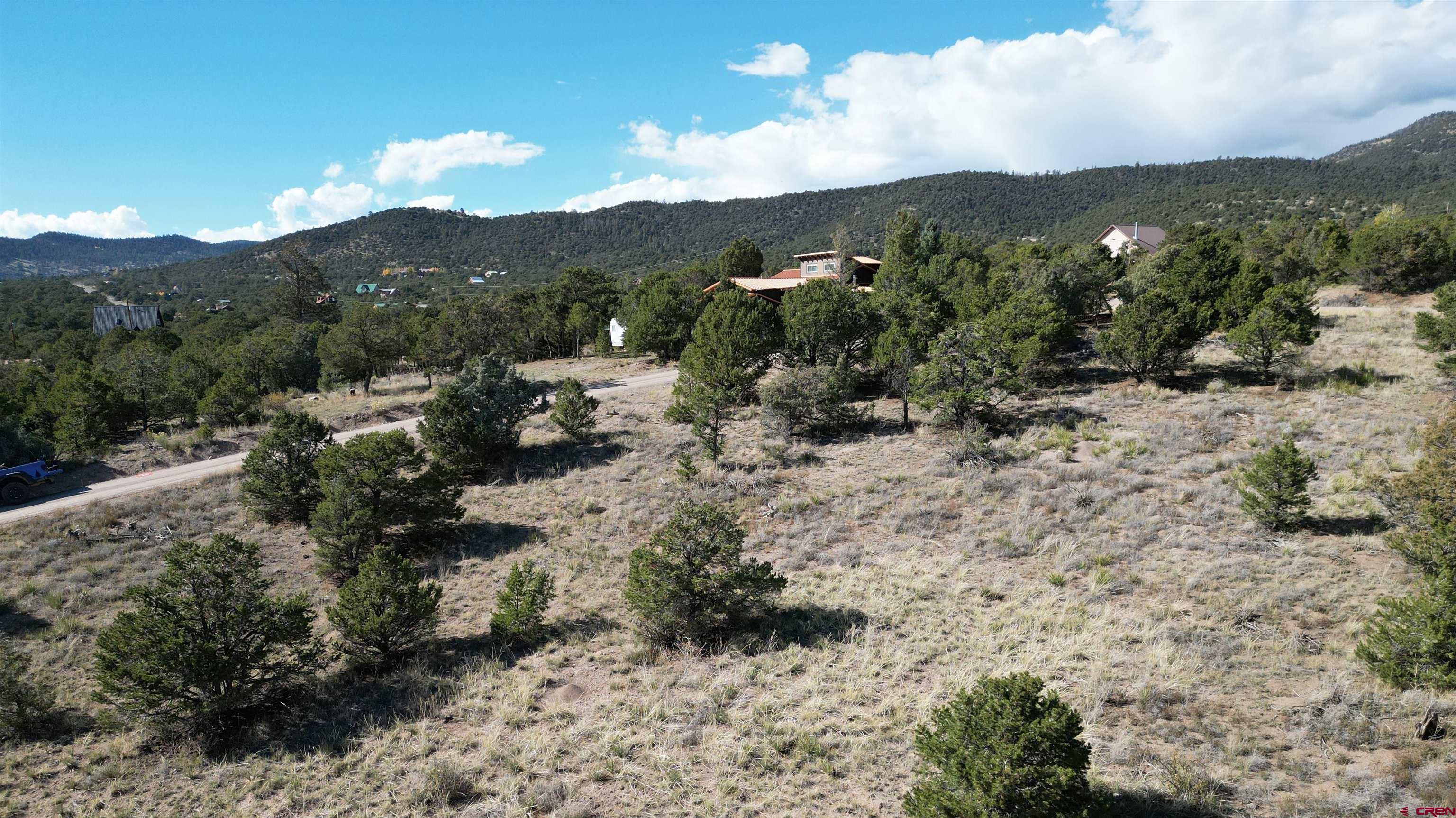 549 Milner Pass Road South Fork, CO 81154 - Photo 14 of 19 a view of a forest with mountains in the background