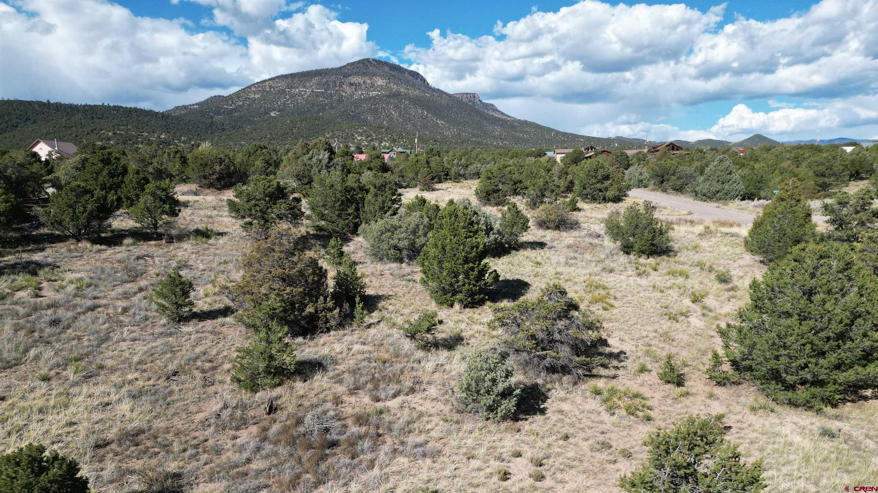 549 Milner Pass Road South Fork, CO 81154 - Photo 15 of 19 a view of a covered with trees in the background