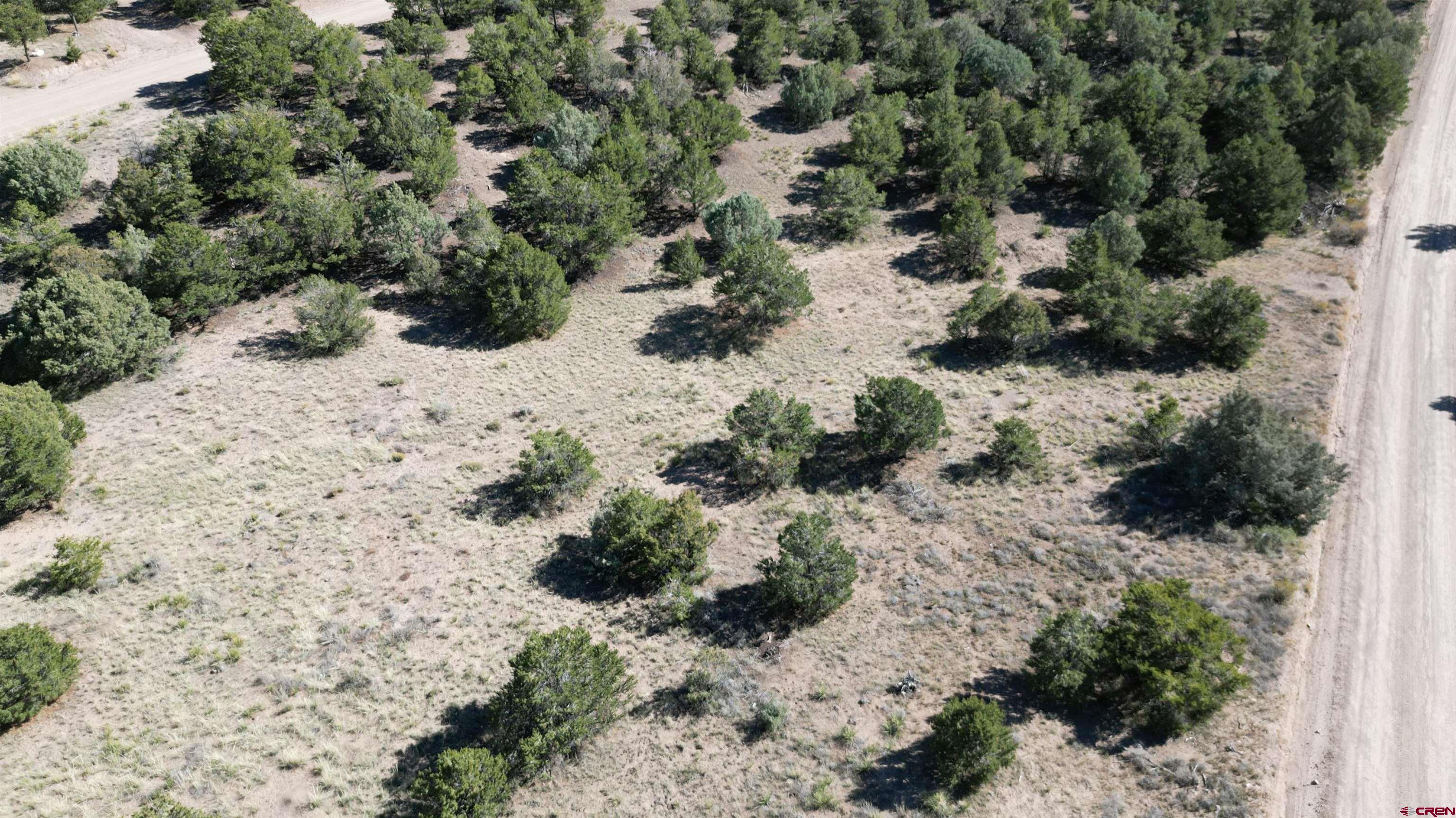 549 Milner Pass Road South Fork, CO 81154 - Photo 17 of 19 a view of a yard with plants and tree