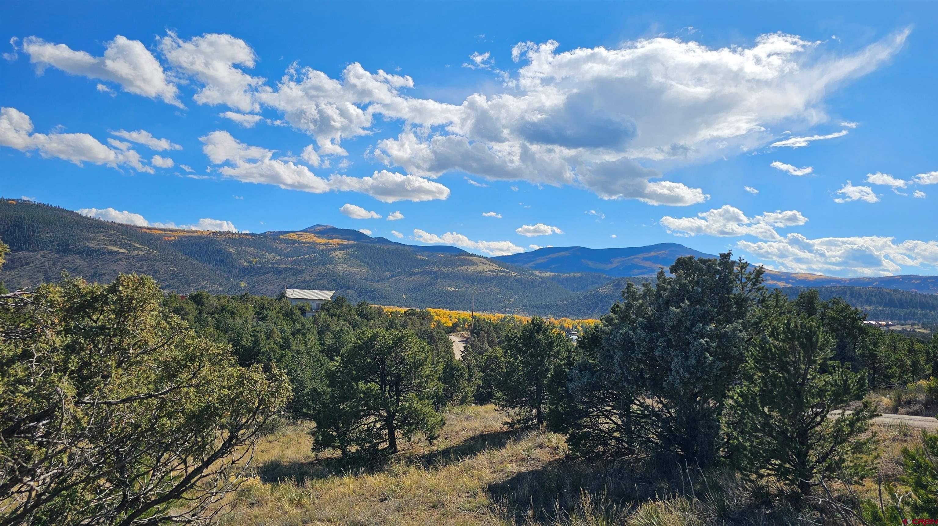 549 Milner Pass Road South Fork, CO 81154 - Photo 2 of 19 a view of a city with lots of trees