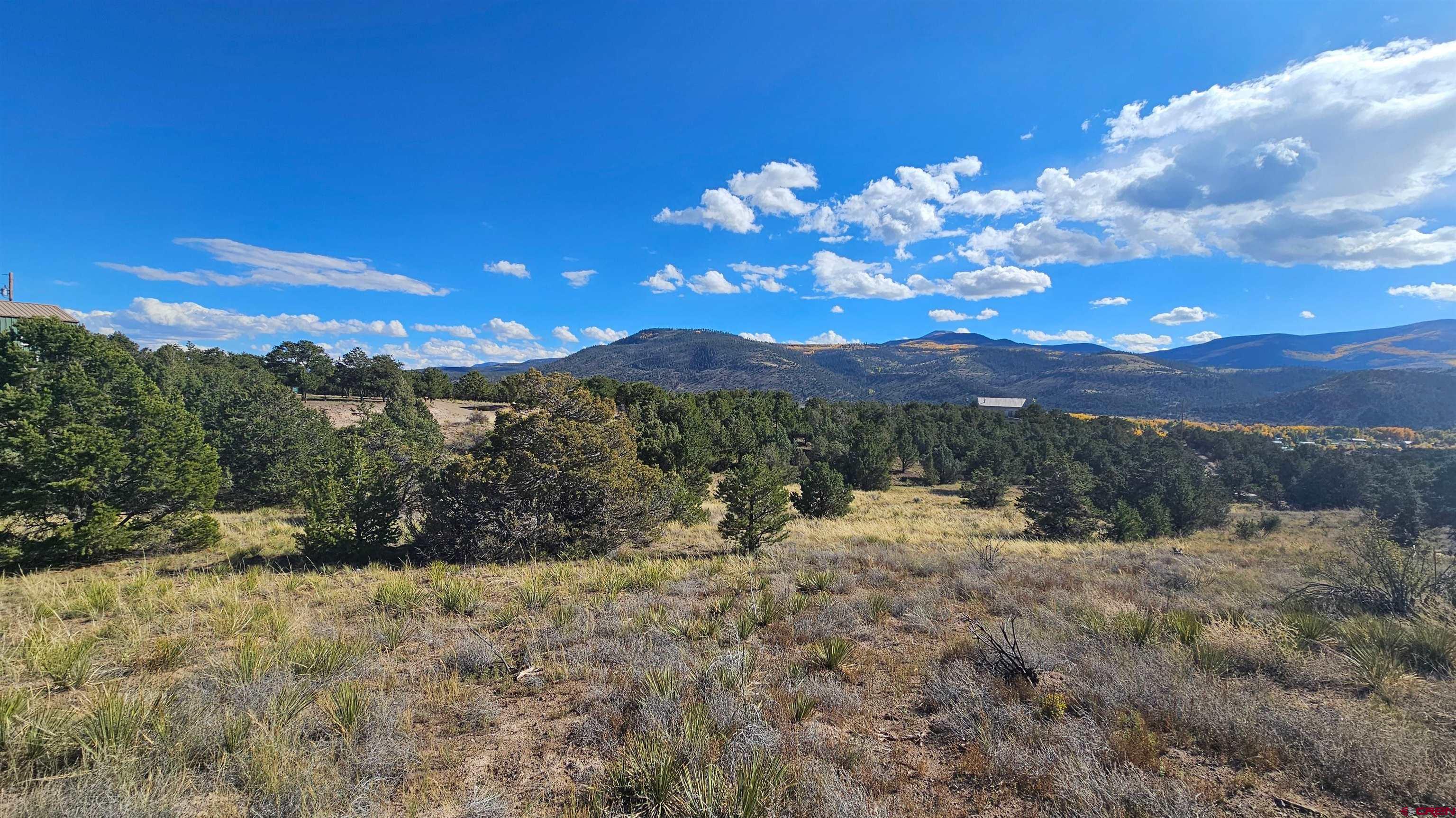 549 Milner Pass Road South Fork, CO 81154 - Photo 6 of 19 a view of a big yard with green space
