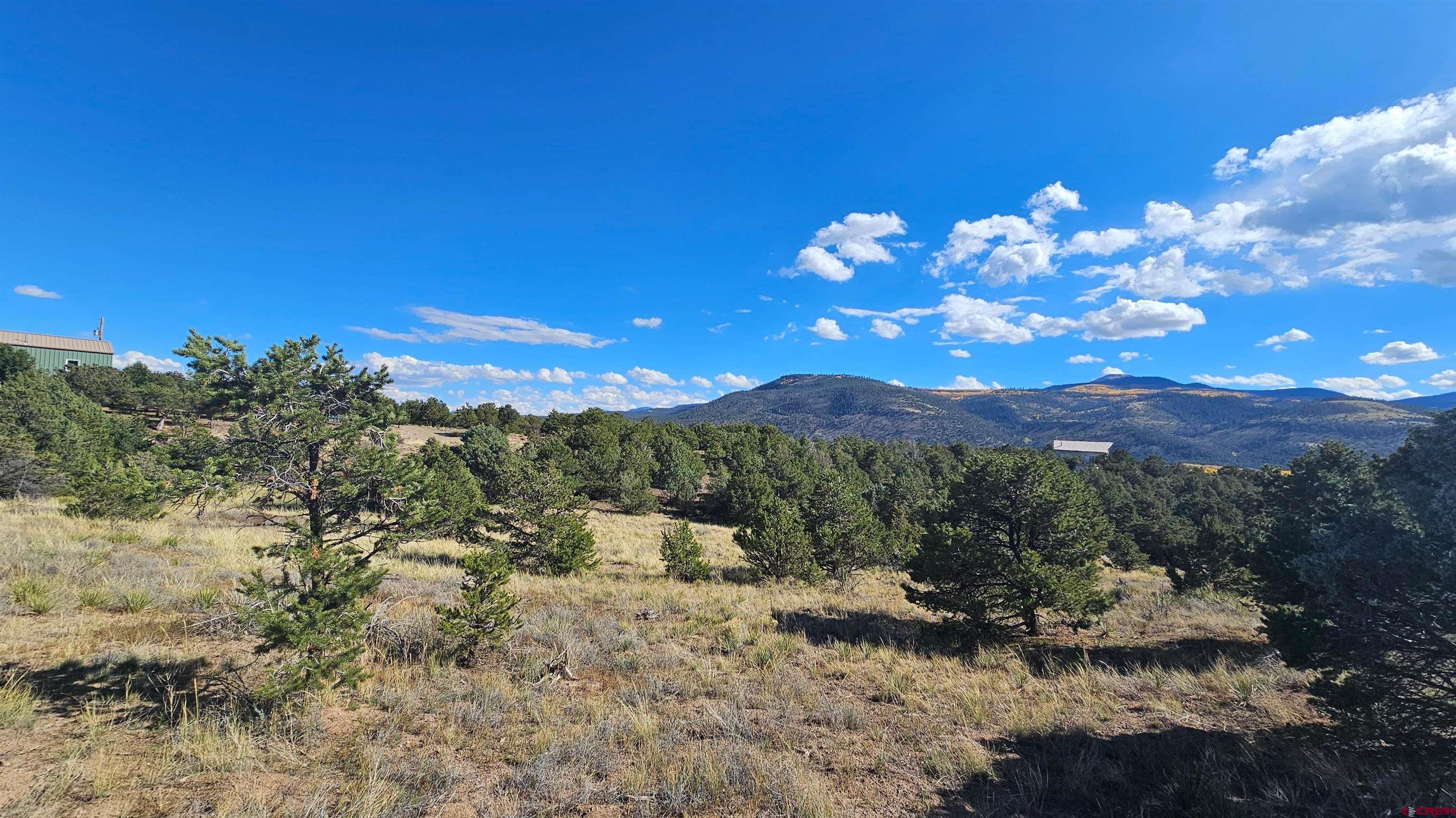 549 Milner Pass Road South Fork, CO 81154 - Photo 7 of 19 a view of a yard with a tree