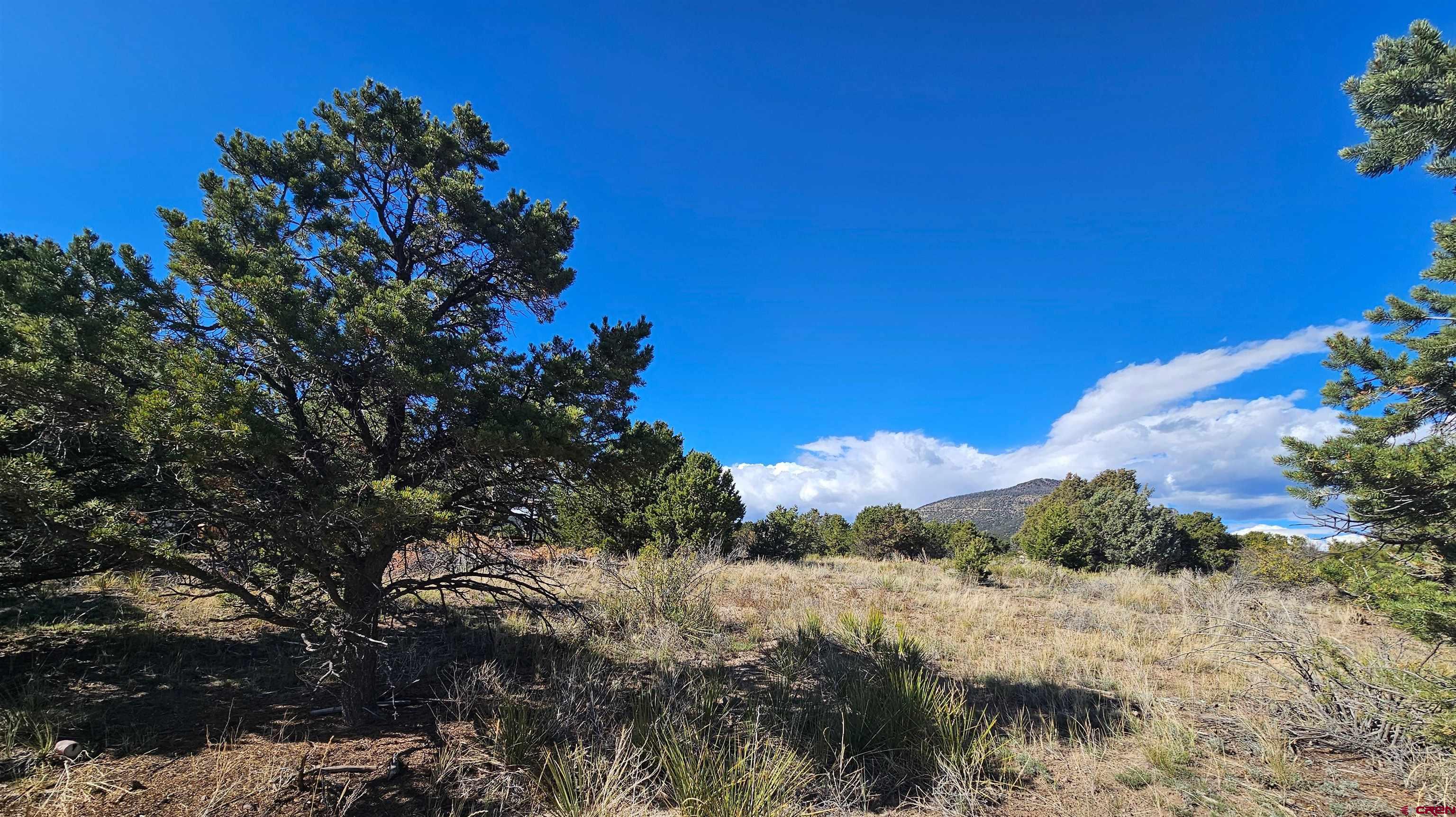 549 Milner Pass Road South Fork, CO 81154 - Photo 7 of 19 a view of a houses with a yard