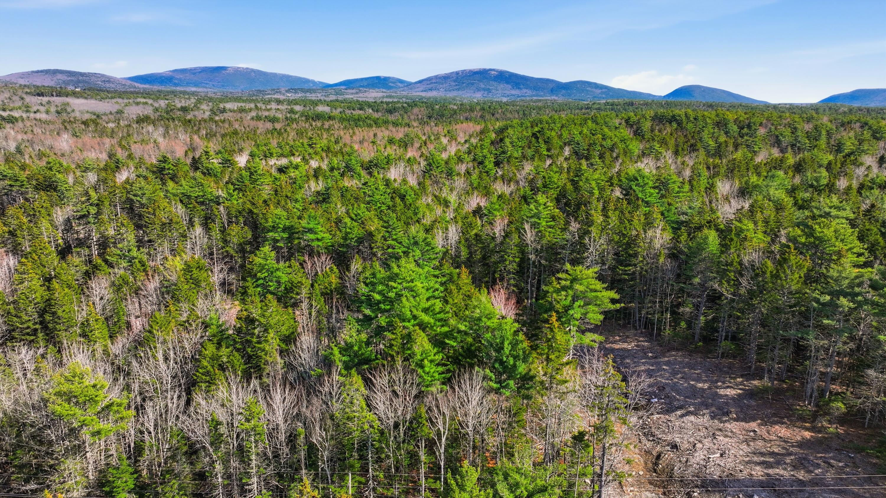 0 Crooked Road Bar Harbor, ME 04609 - Photo 6 of 12 Lamacchia_Realty_010