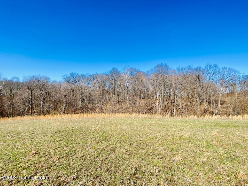 1945 Long Run Road Springfield, KY 40069 - Photo 13 of 81 IMG_2466
