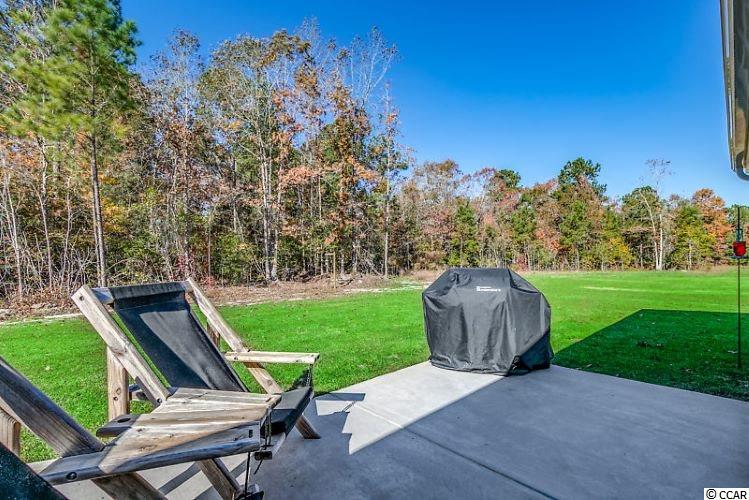 65 Rivercrest Place Georgetown, SC 29440 - Photo 25 of 36 Gallery Image 25