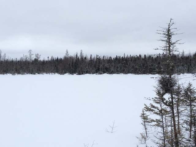 105-ac Pine Lake Road Minocqua, WI 54548 - Photo 18 of 25 Gallery Image 18