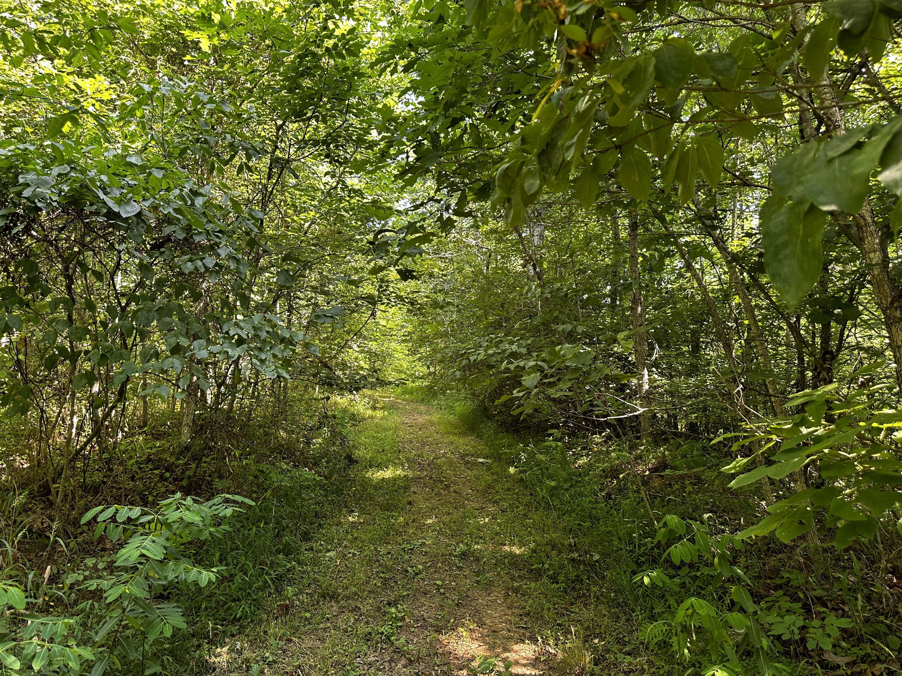 1101 Hull Road, Unit TRACT 9 WOODS WAYNE FOREST) Patriot, OH 45658 - Photo 16 of 61 20240621_144524302_iOS
