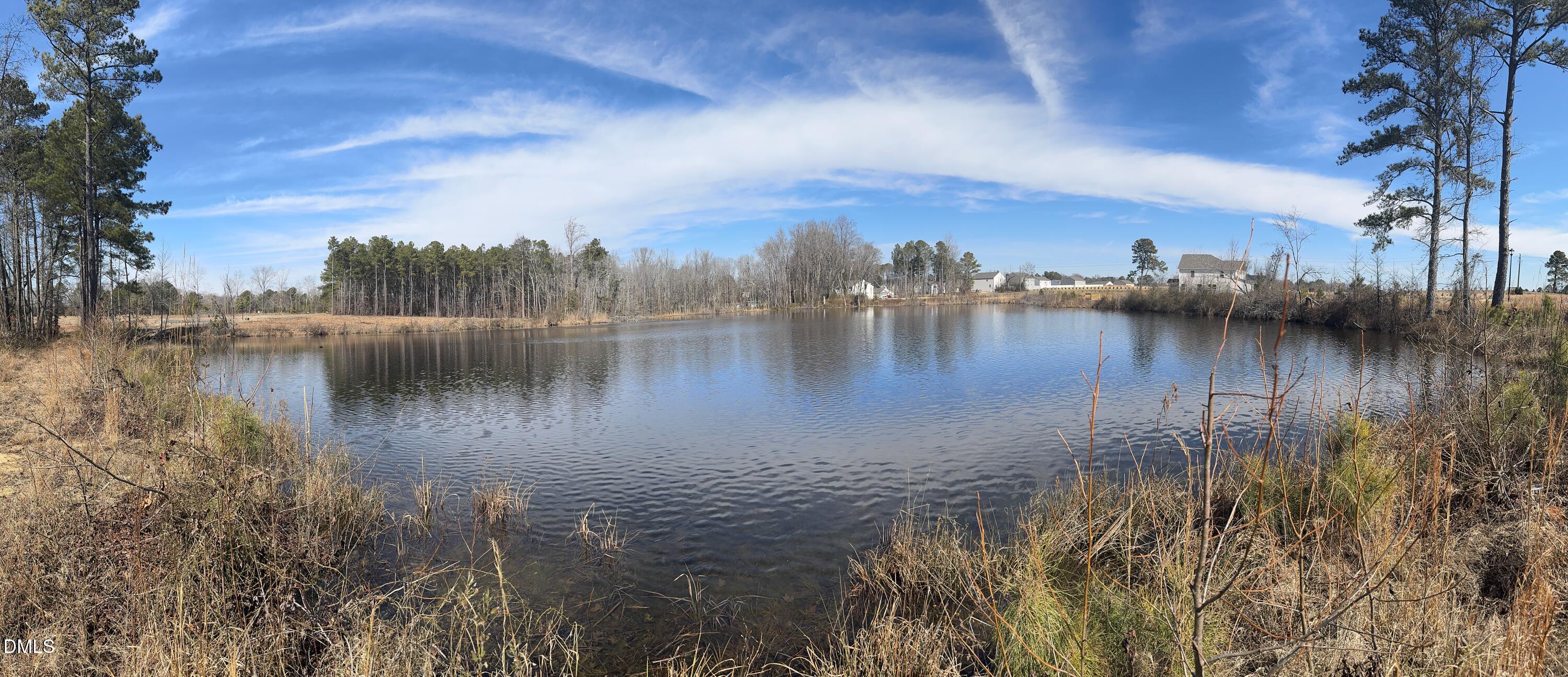 263 Kindness Drive Lillington, NC 27546 - Photo 22 of 37 a view of lake