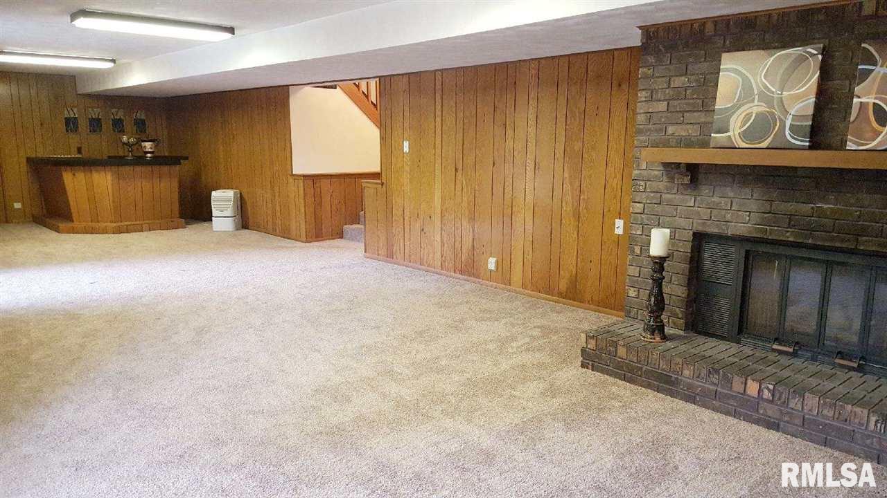 118 Rustic Lake Drive Colona, IL 61241 - Photo 23 of 24 Gallery Image 23